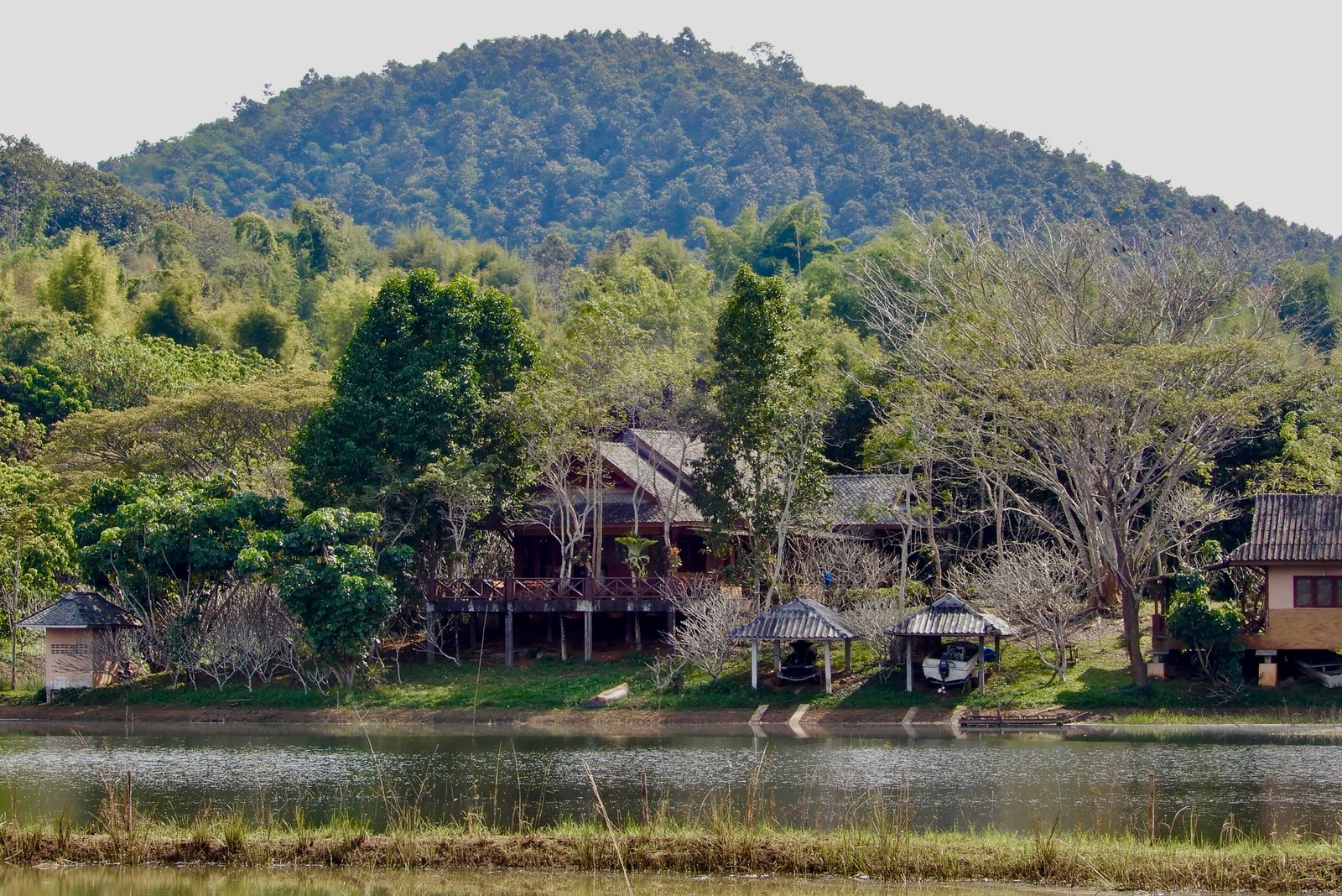 DSCN3913.jpg