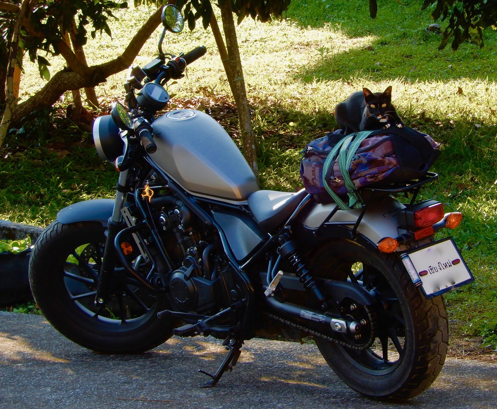 DSCN3935.jpg