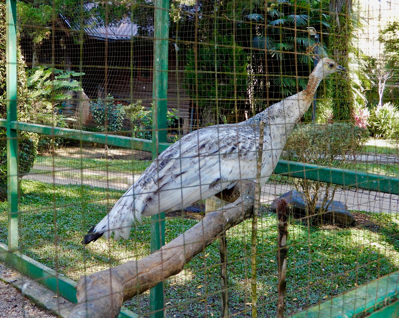 DSCN3986.jpg