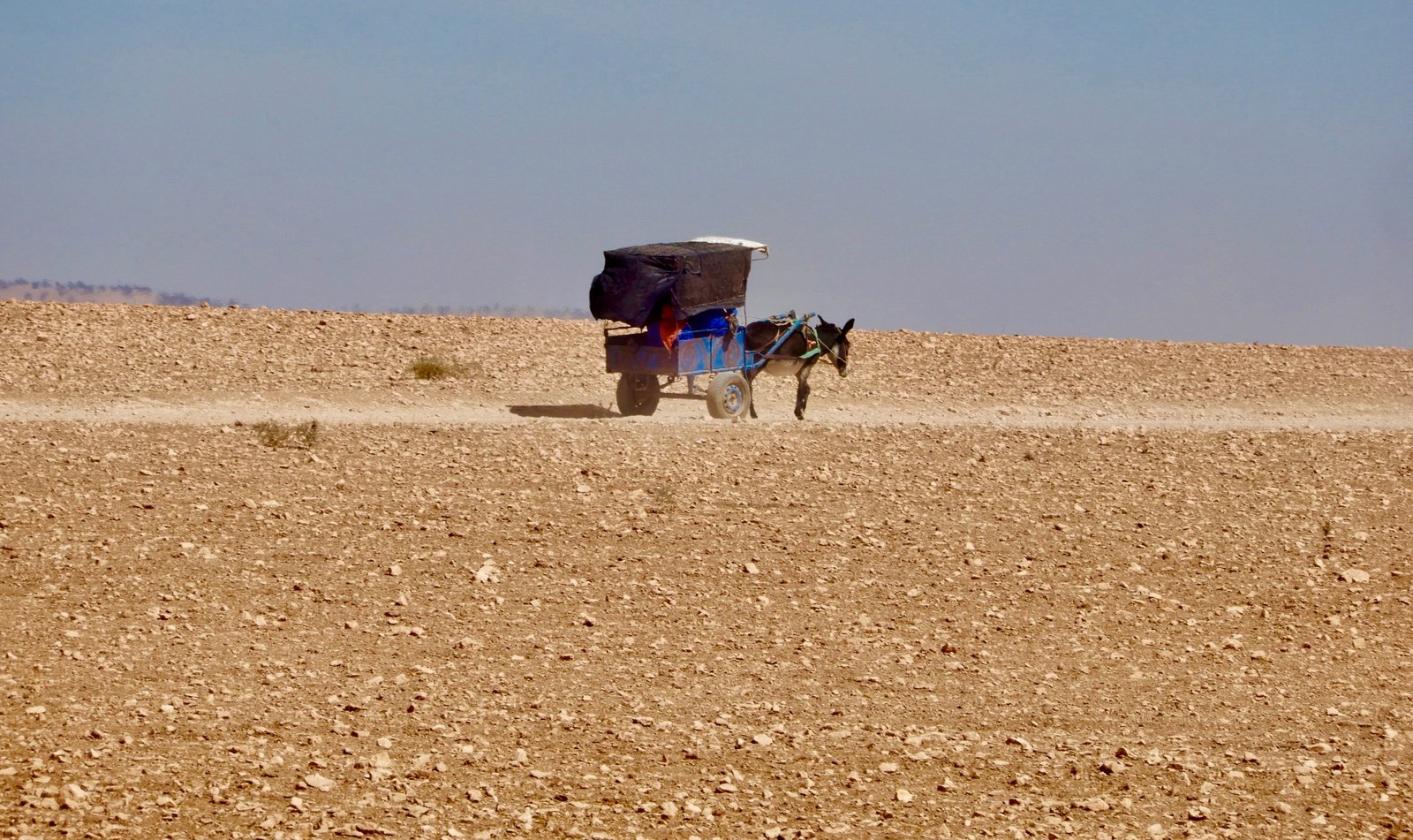DSCN4973.jpg