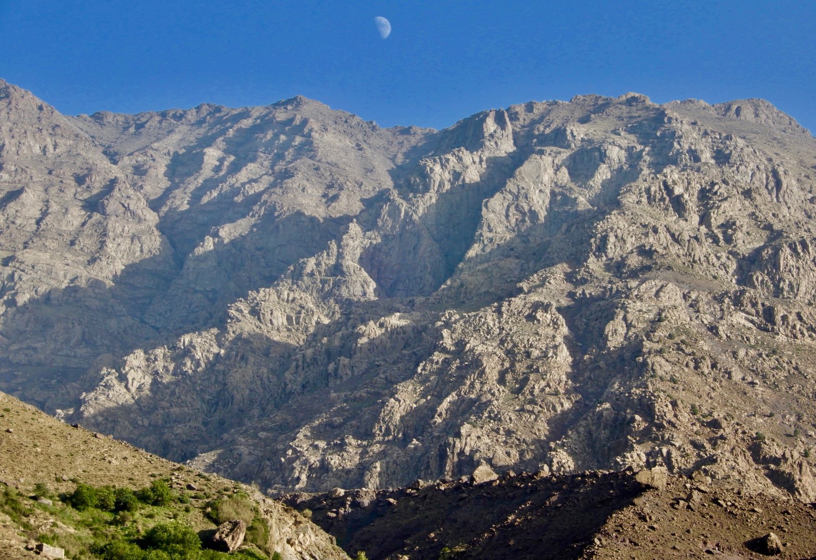 DSCN5050.jpg