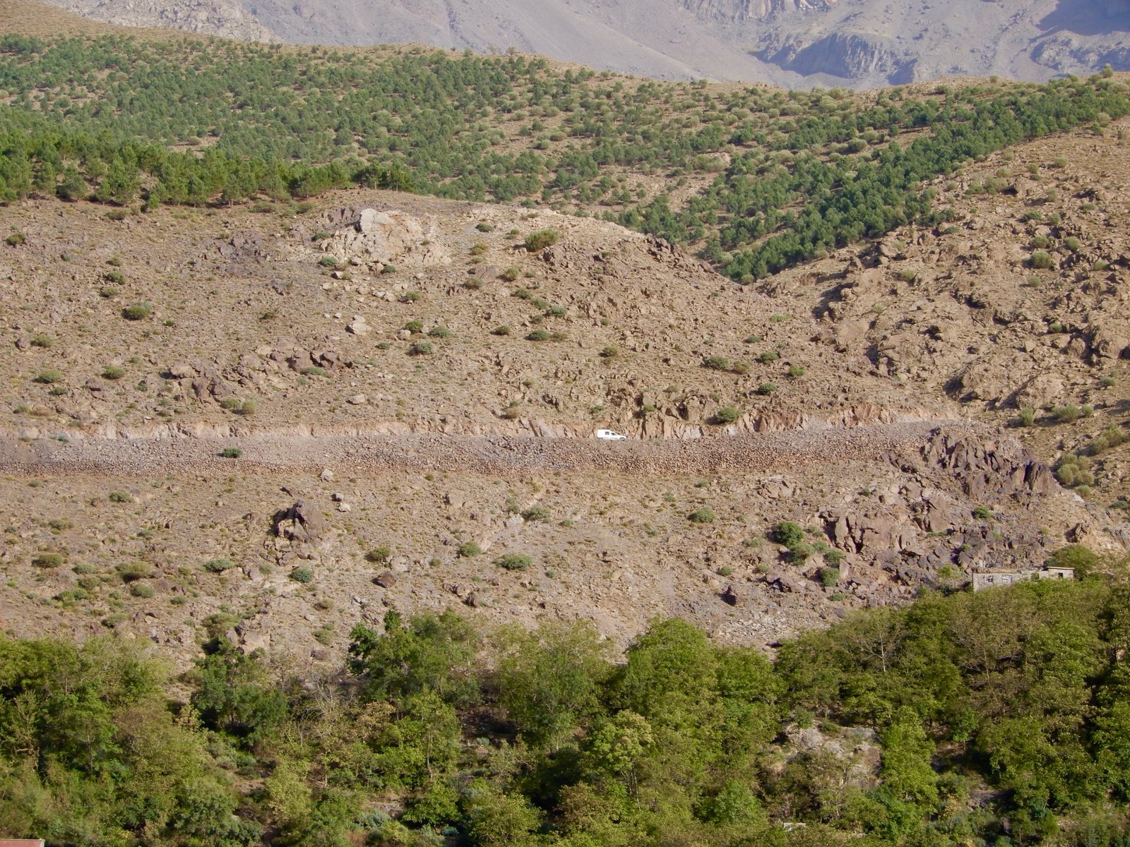 DSCN5055.jpg