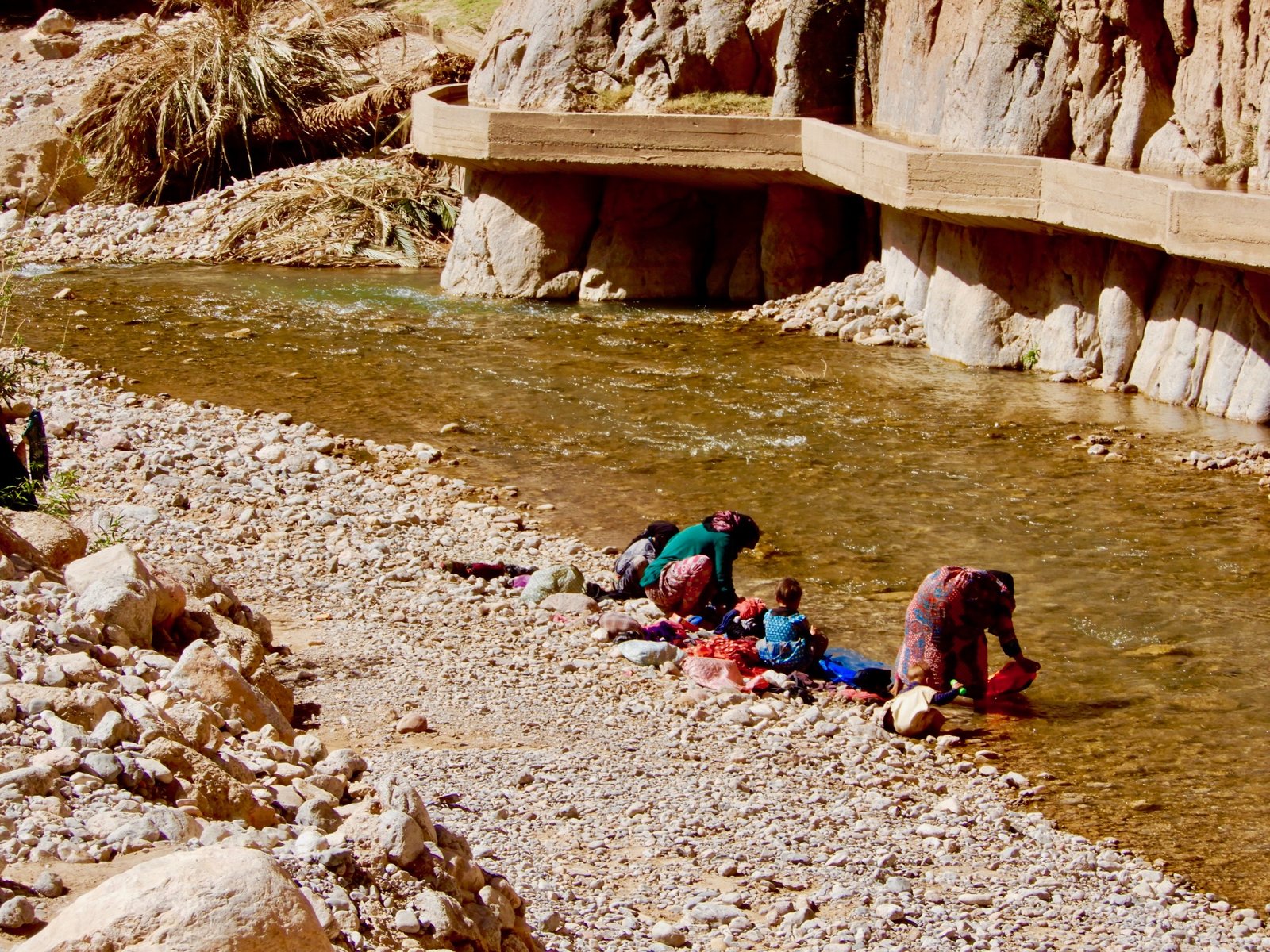 DSCN5108.jpg