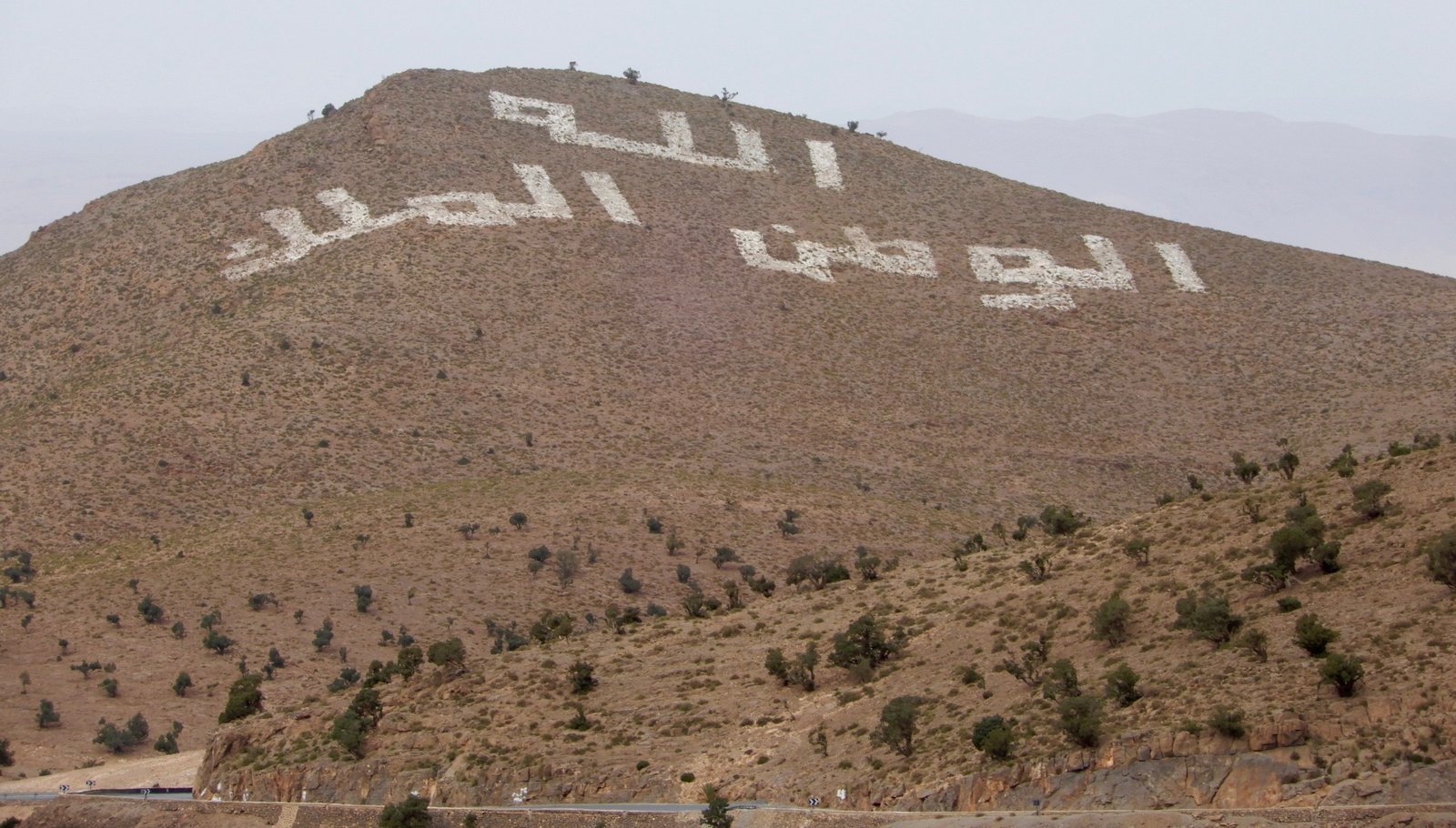 DSCN5116.jpg