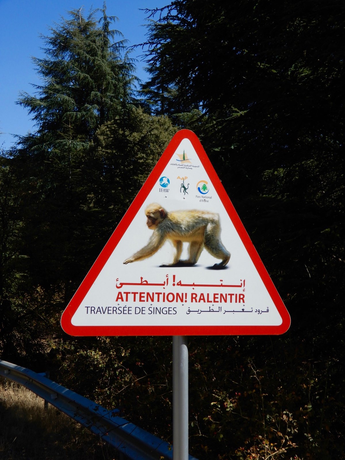 DSCN5119.jpg