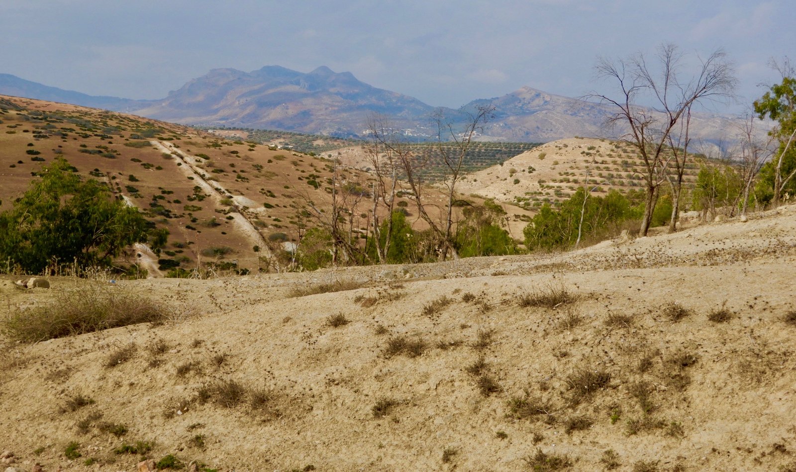 DSCN5121.jpg
