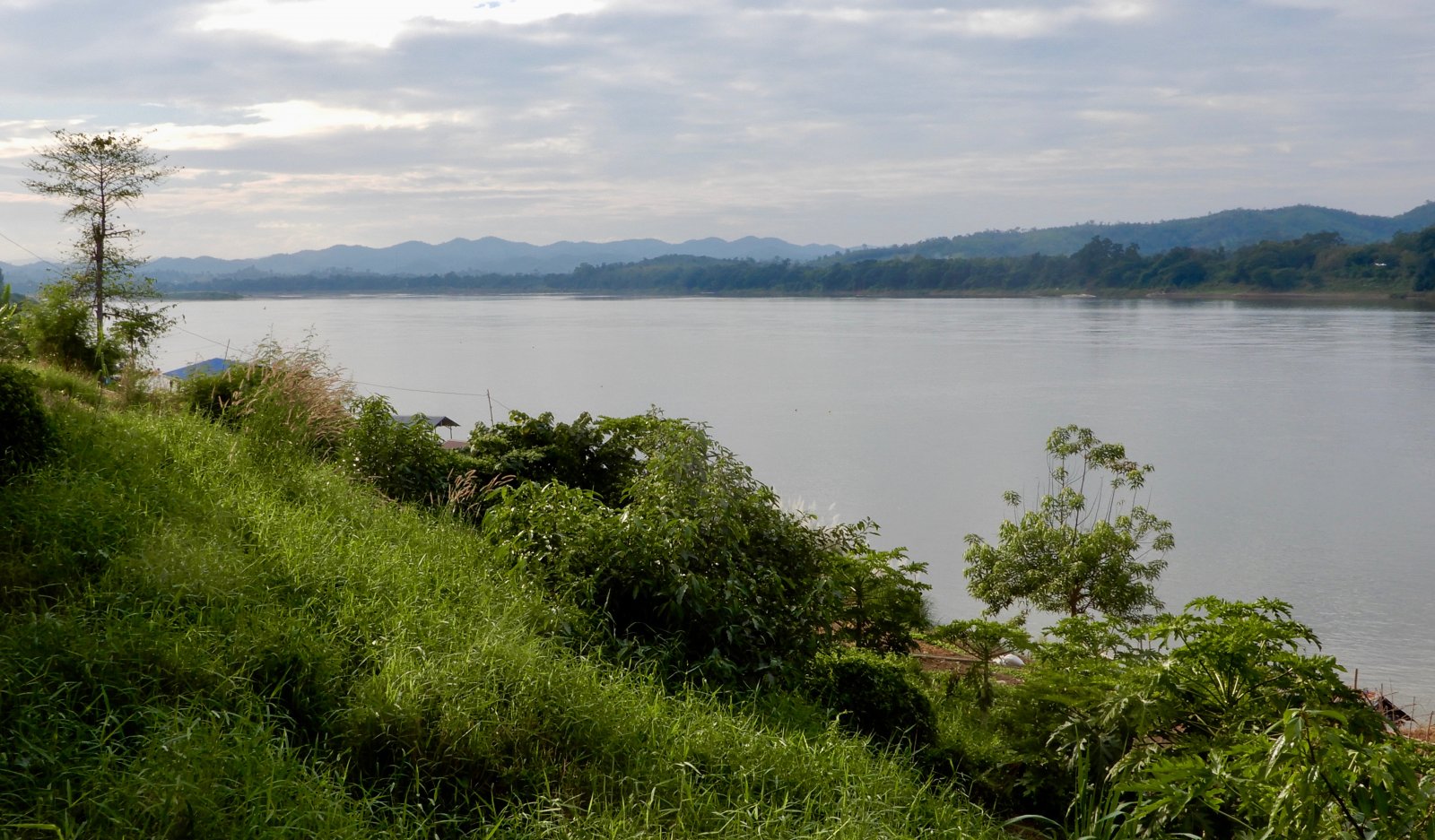 DSCN5680.jpg