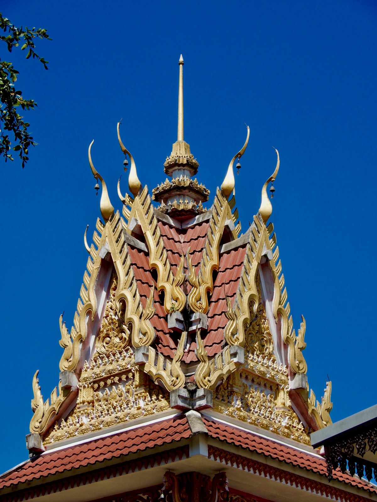 DSCN5709.jpg