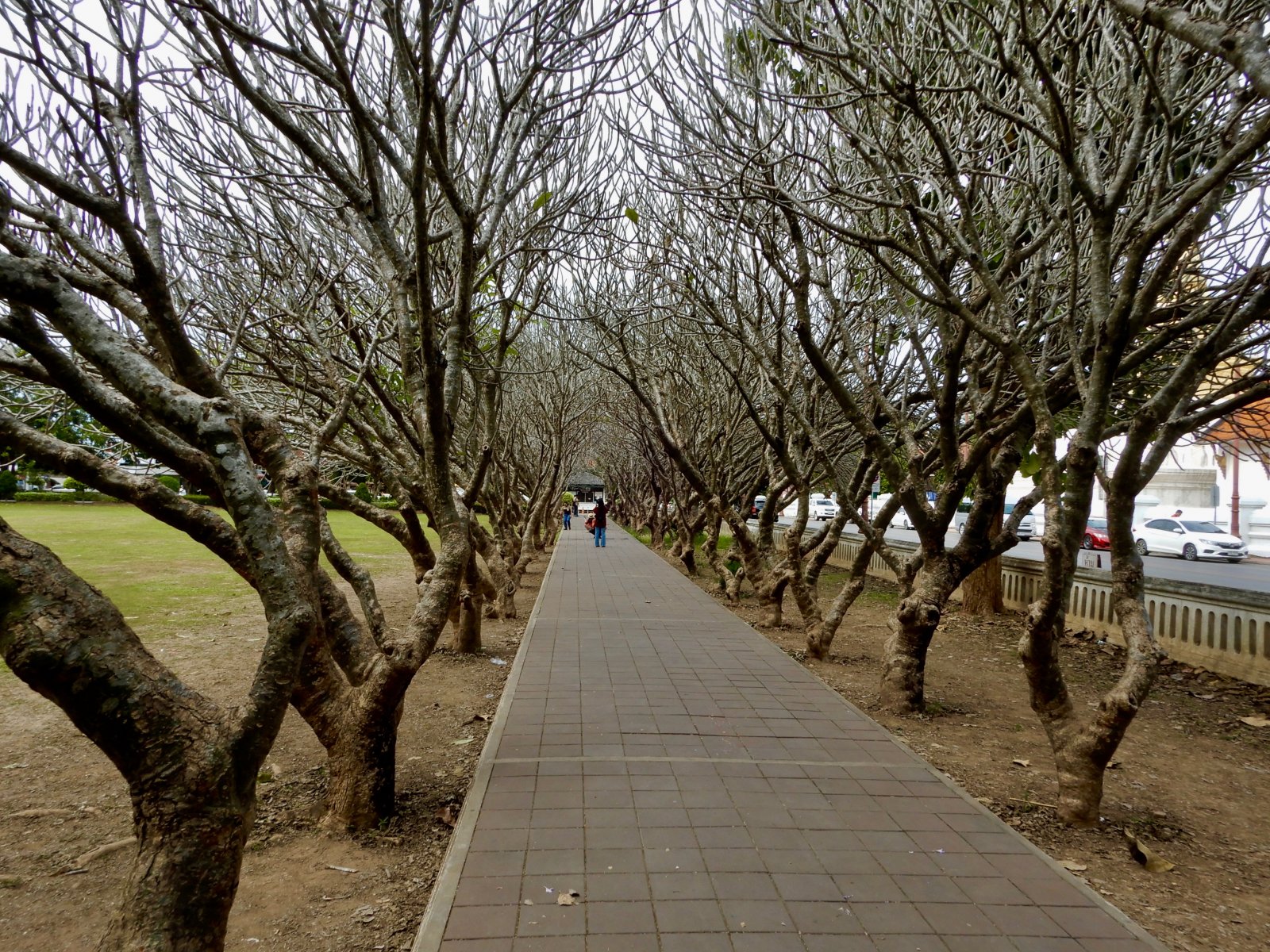 DSCN5721.jpg