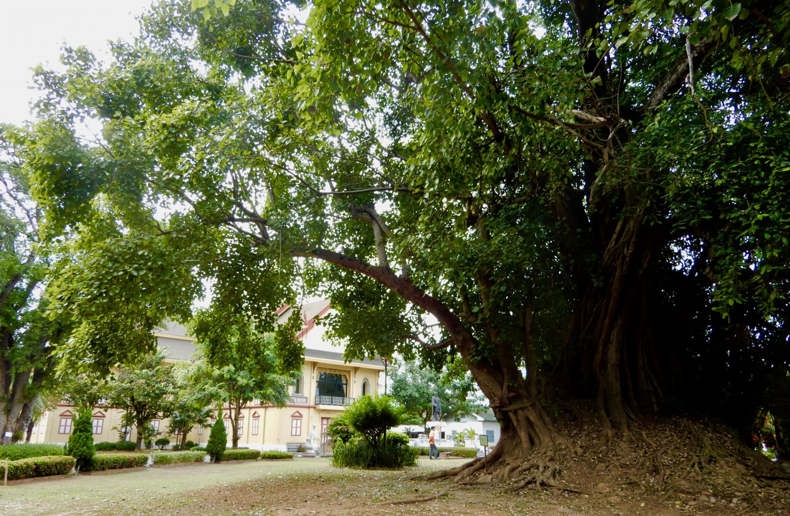 DSCN5723.jpg