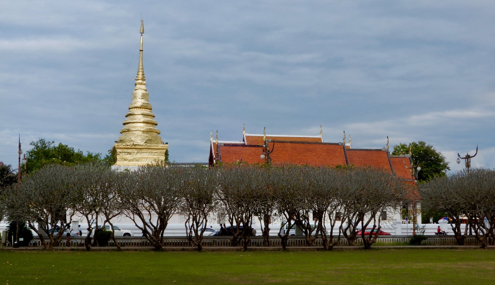 DSCN5724.jpg