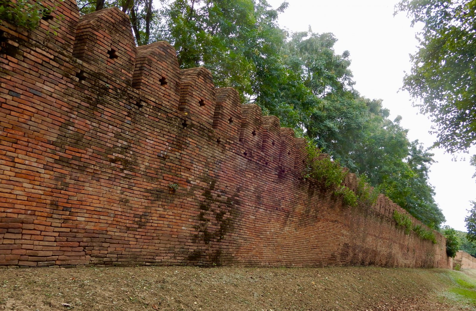 DSCN5725.jpg