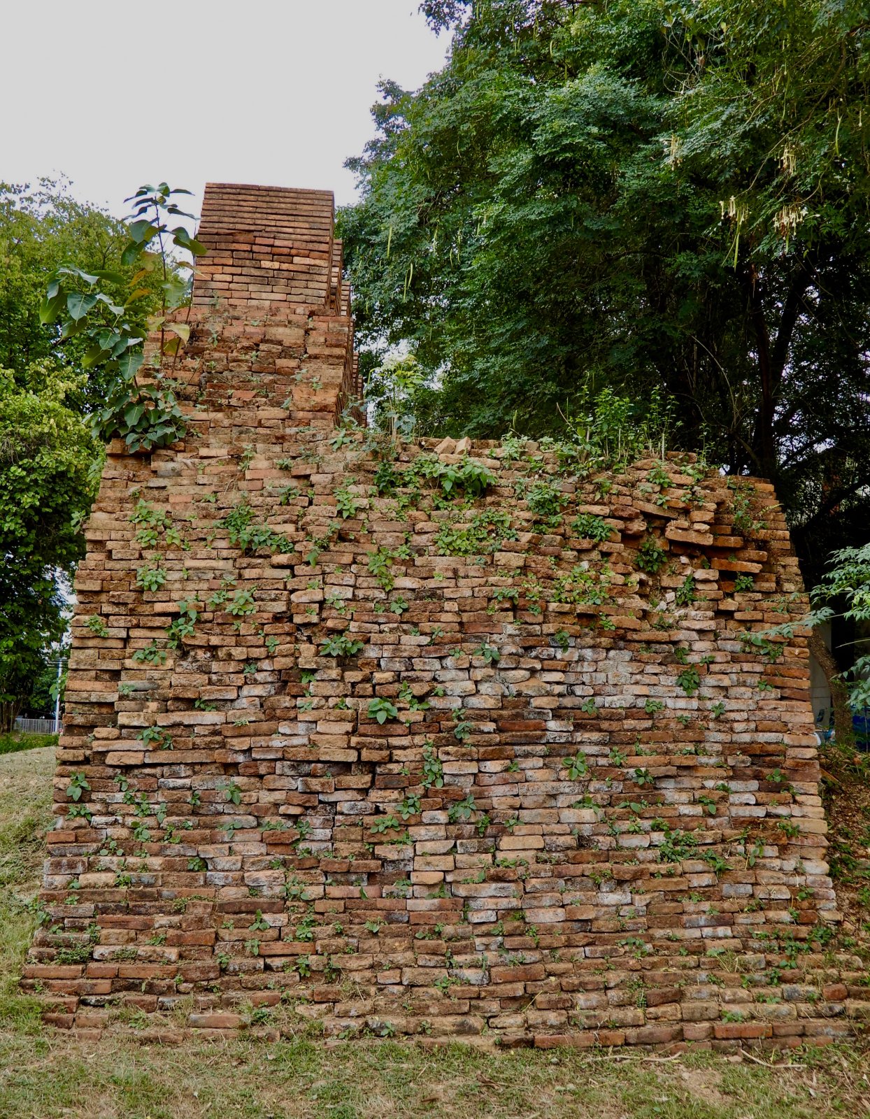 DSCN5727.jpg