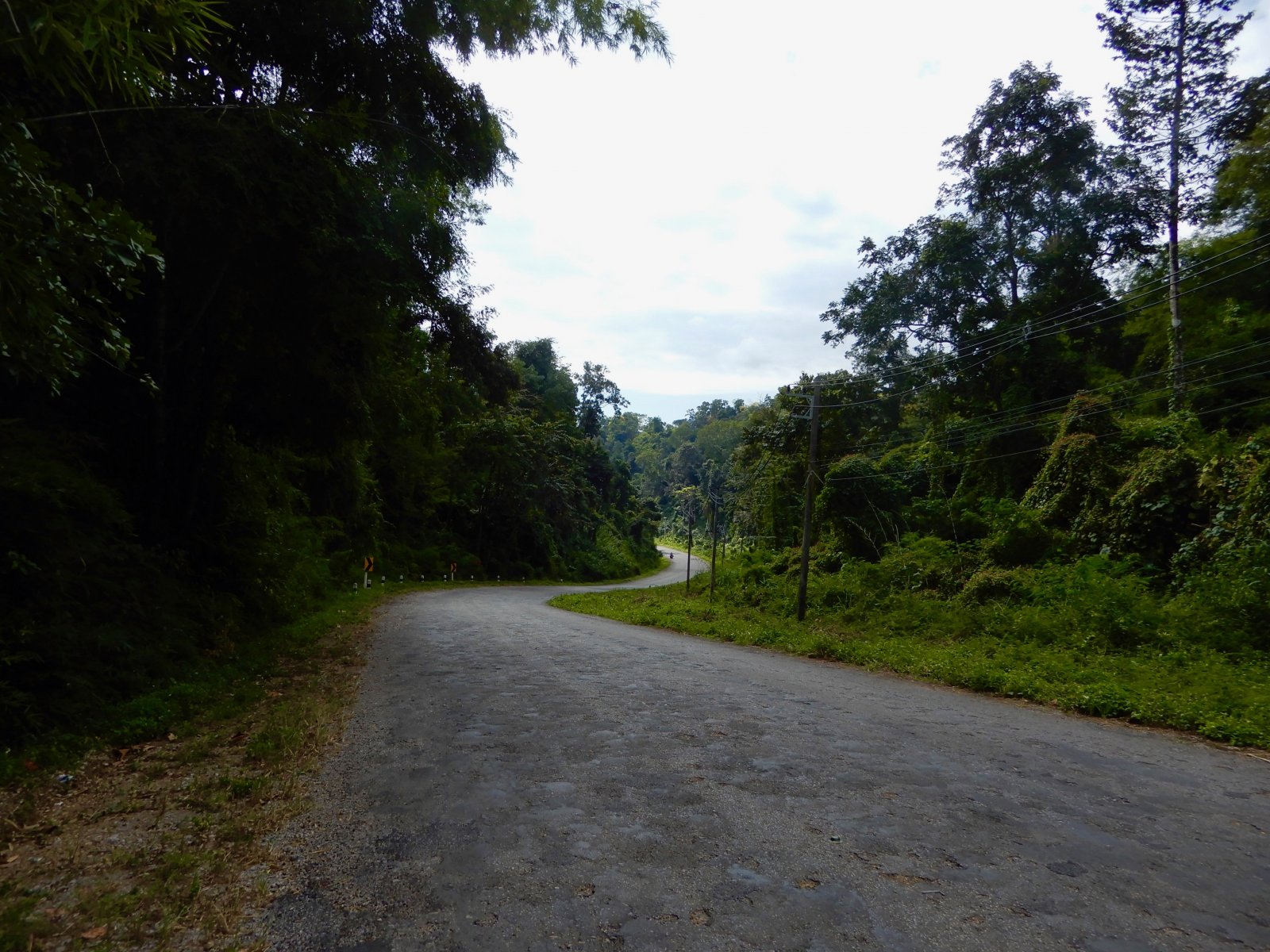 DSCN5736.jpg