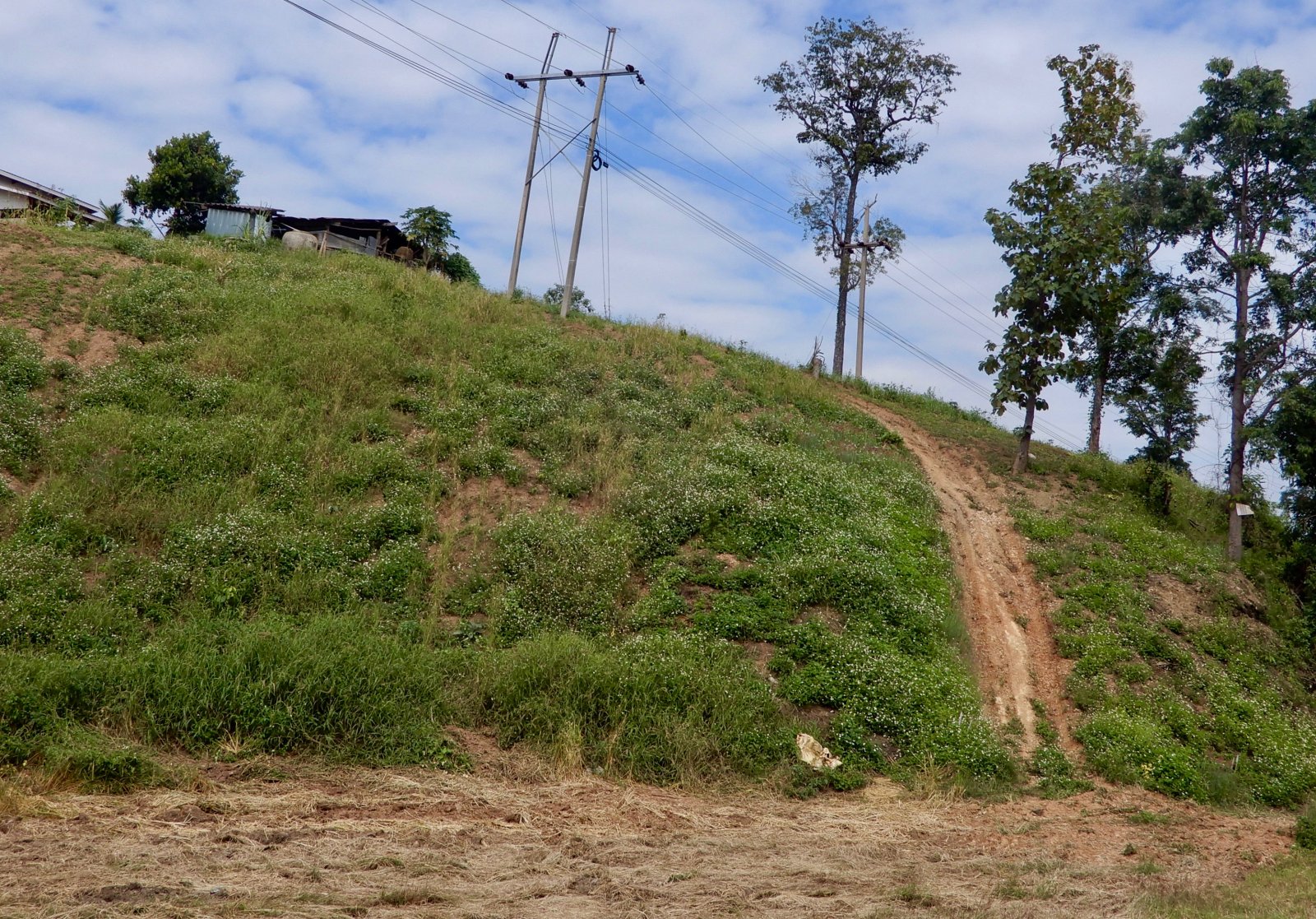 DSCN5737.jpg