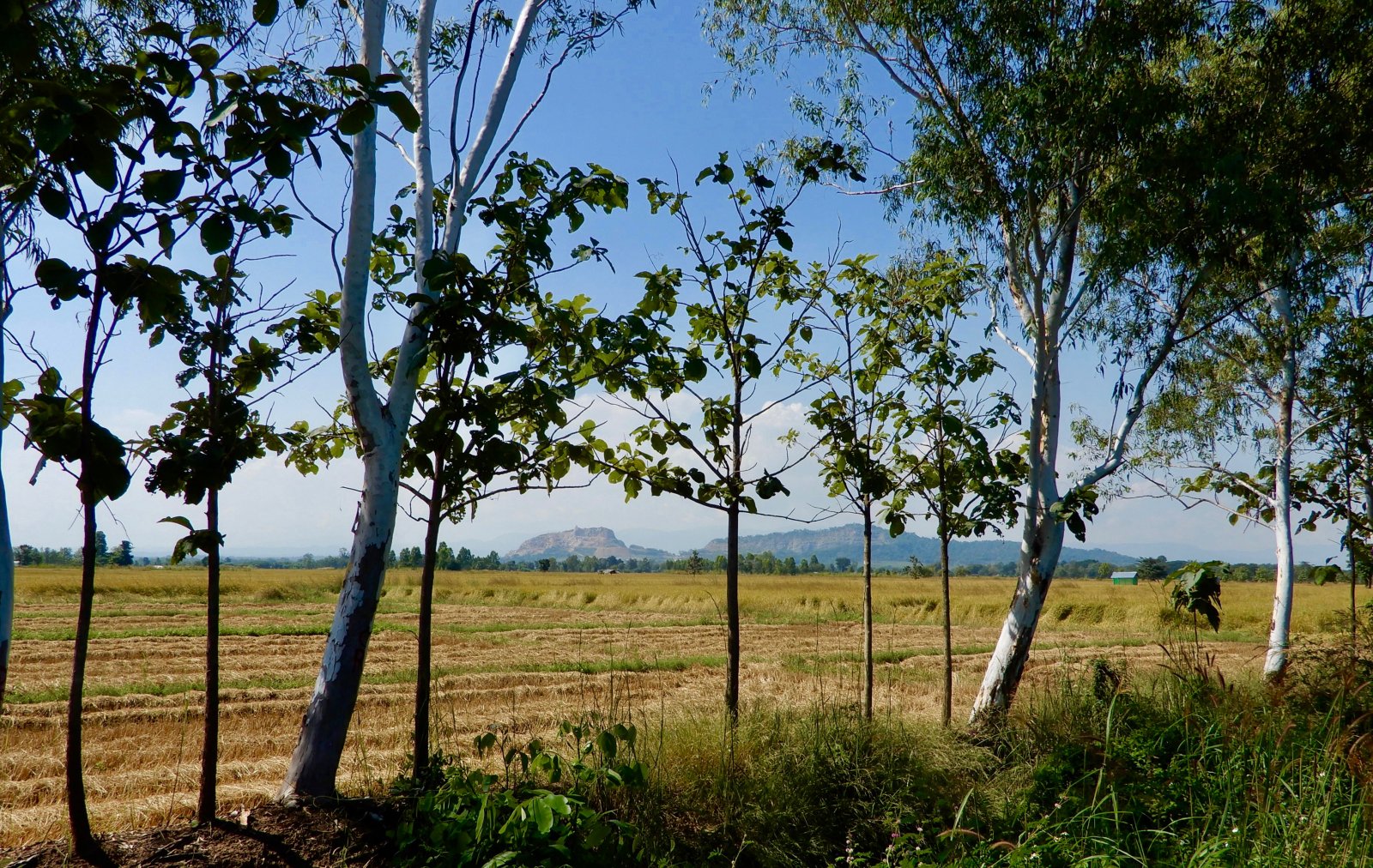 DSCN5738.jpg