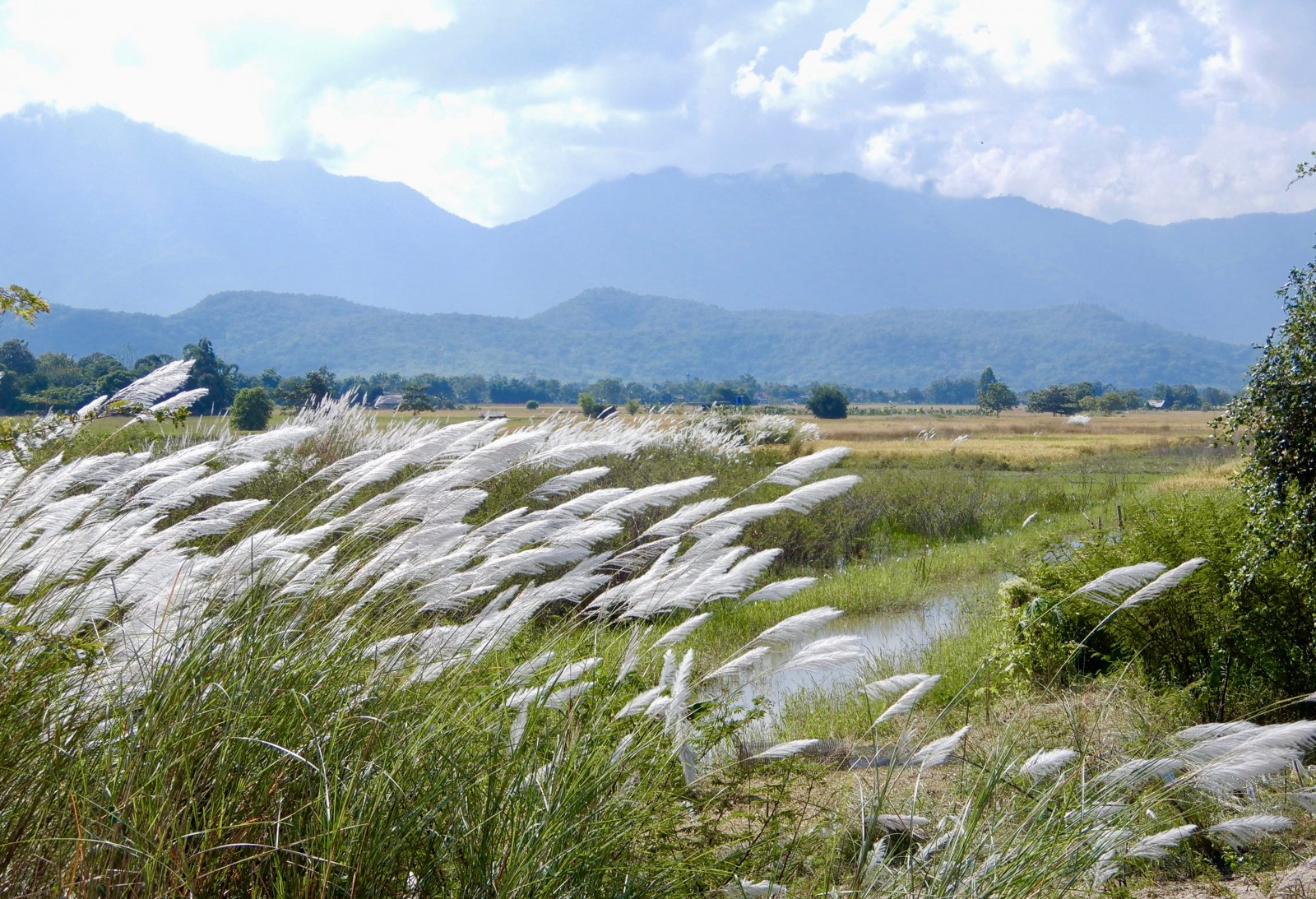 DSCN5744.jpg