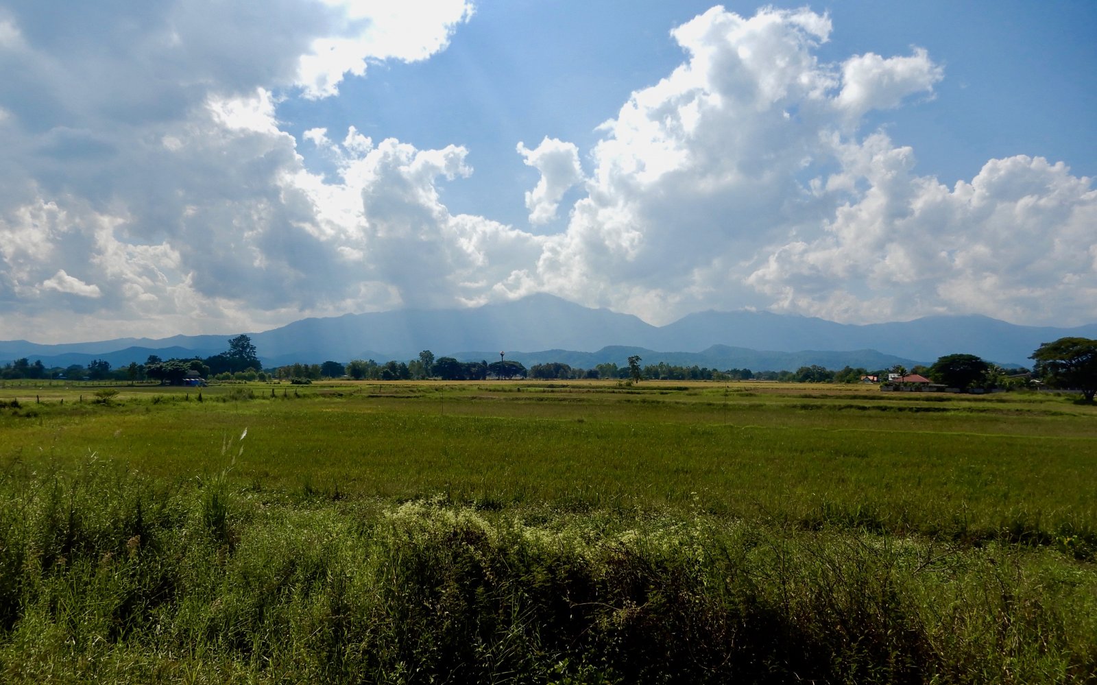 DSCN5745.jpg