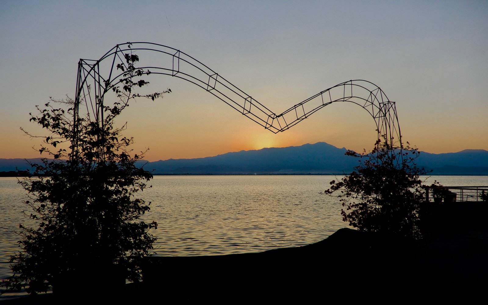 DSCN5765.jpg