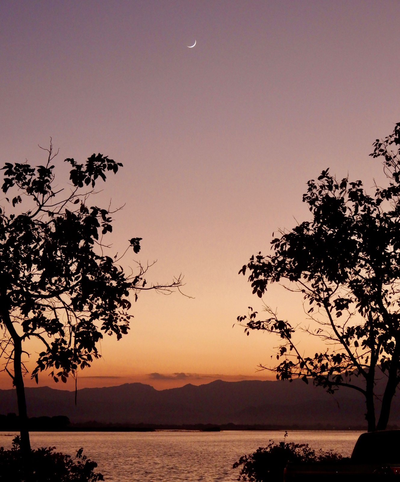 DSCN5770.jpg