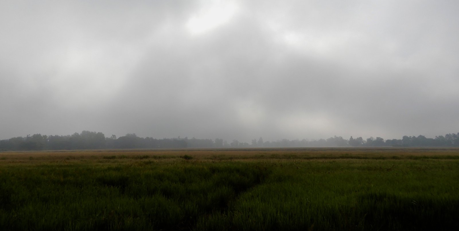 DSCN5777.jpg