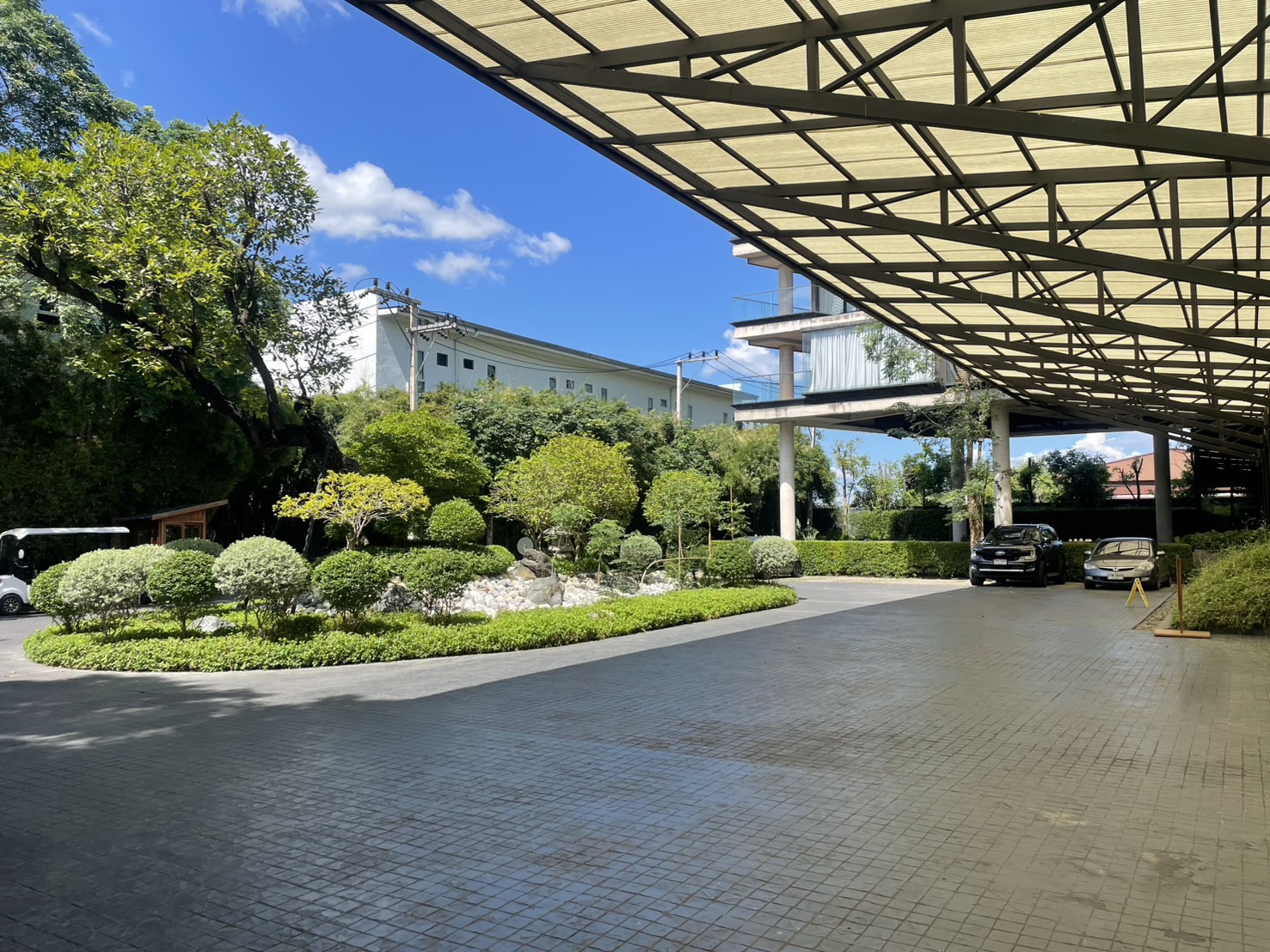 IMG_0206.jpeg