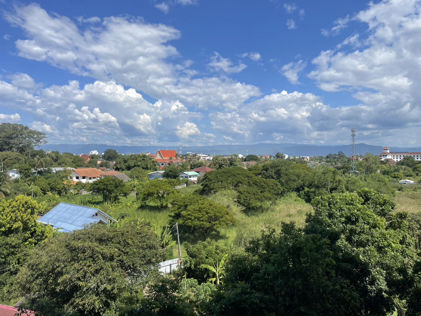 IMG_0217.jpeg