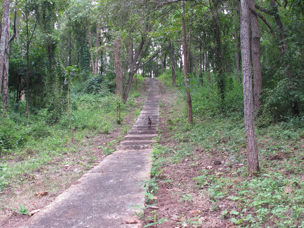 IMG_1055.jpg