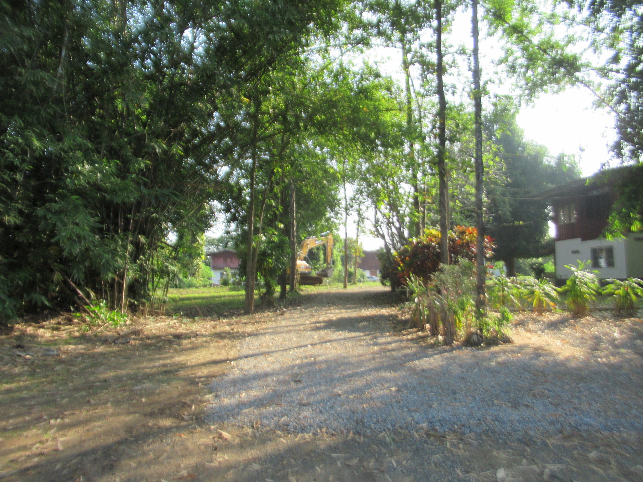 IMG_1464.JPG