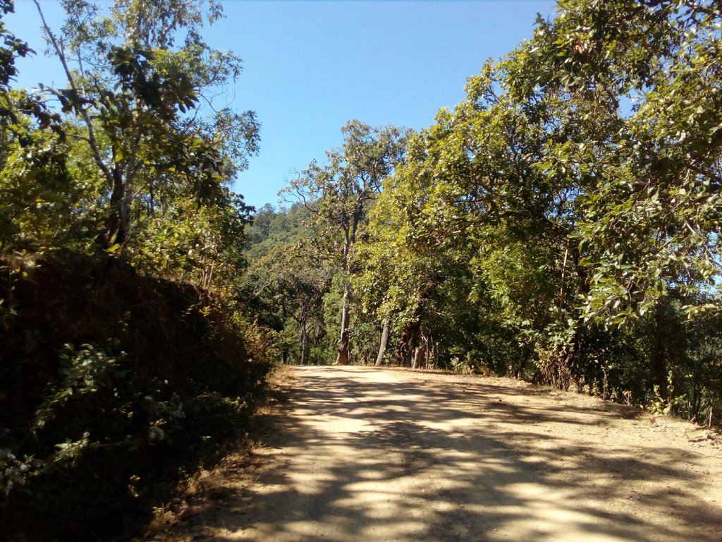 IMG_20171224_114512.jpg