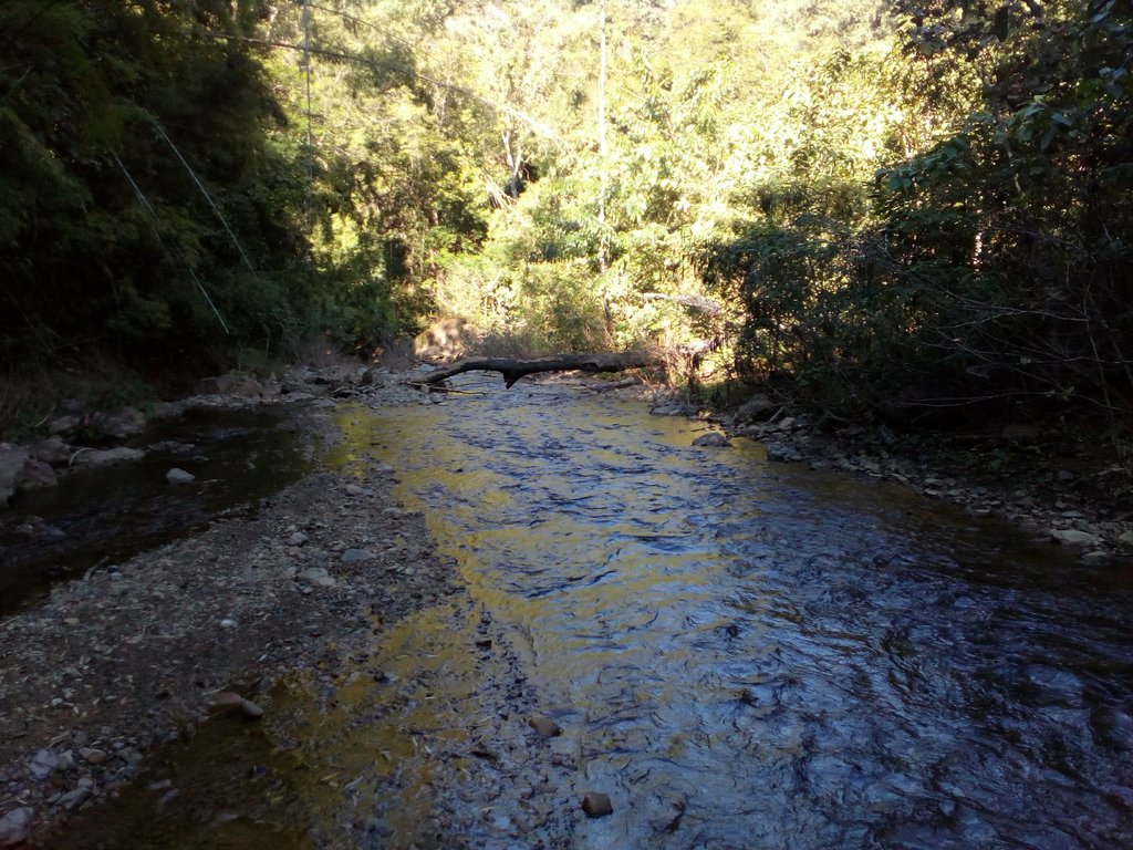 IMG_20171224_150517.jpg