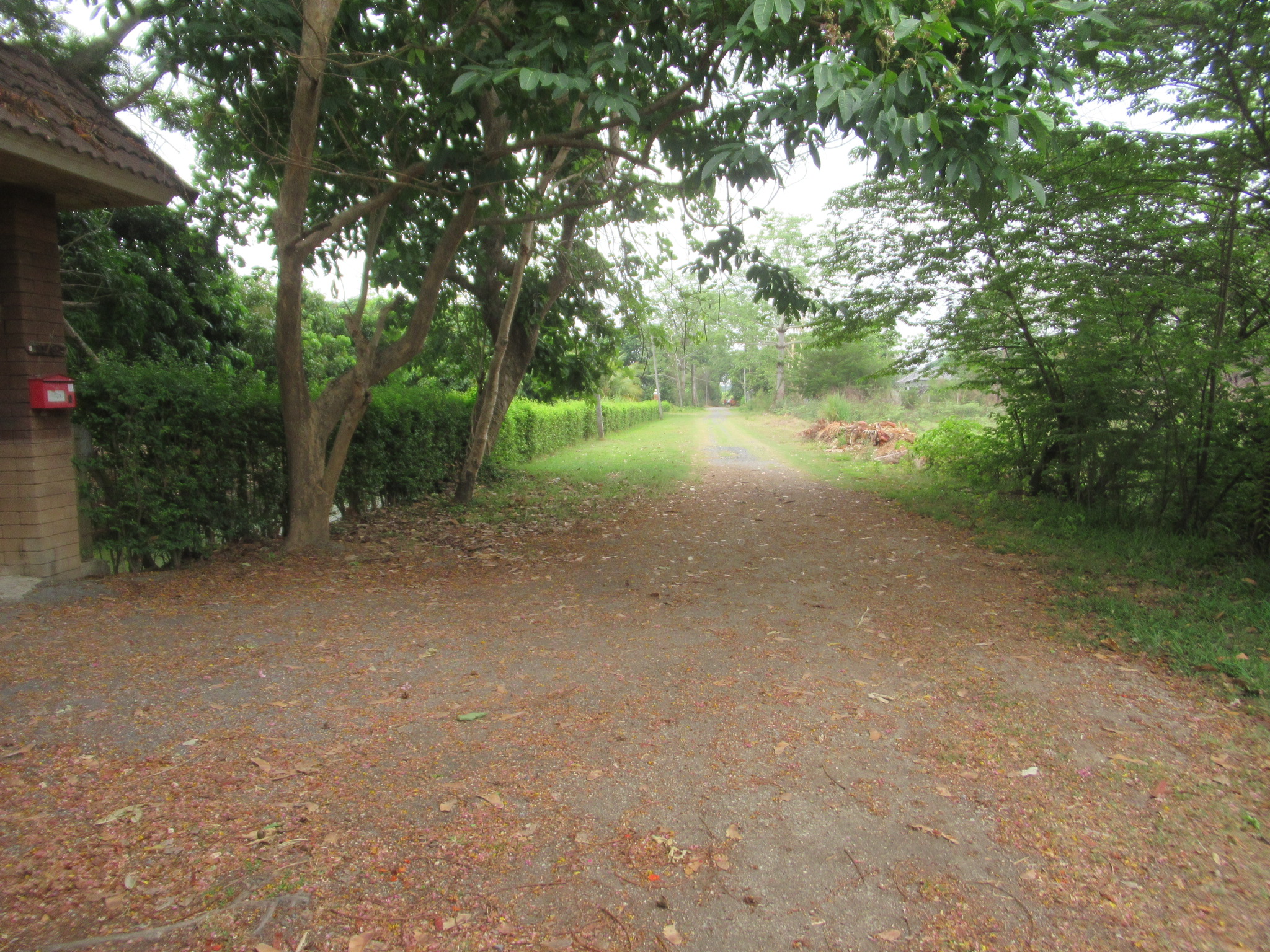 IMG_3836.JPG