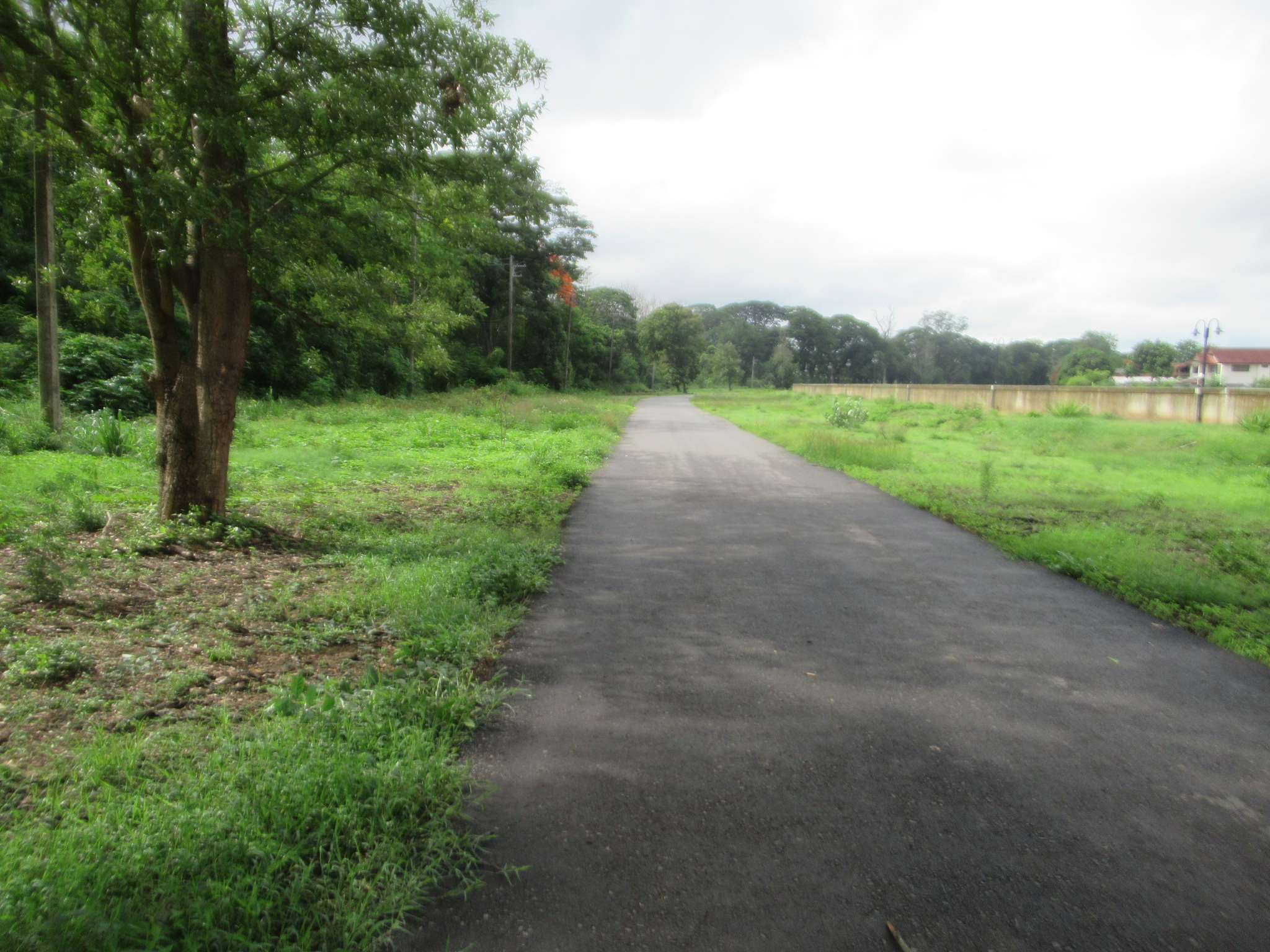 IMG_3966.JPG