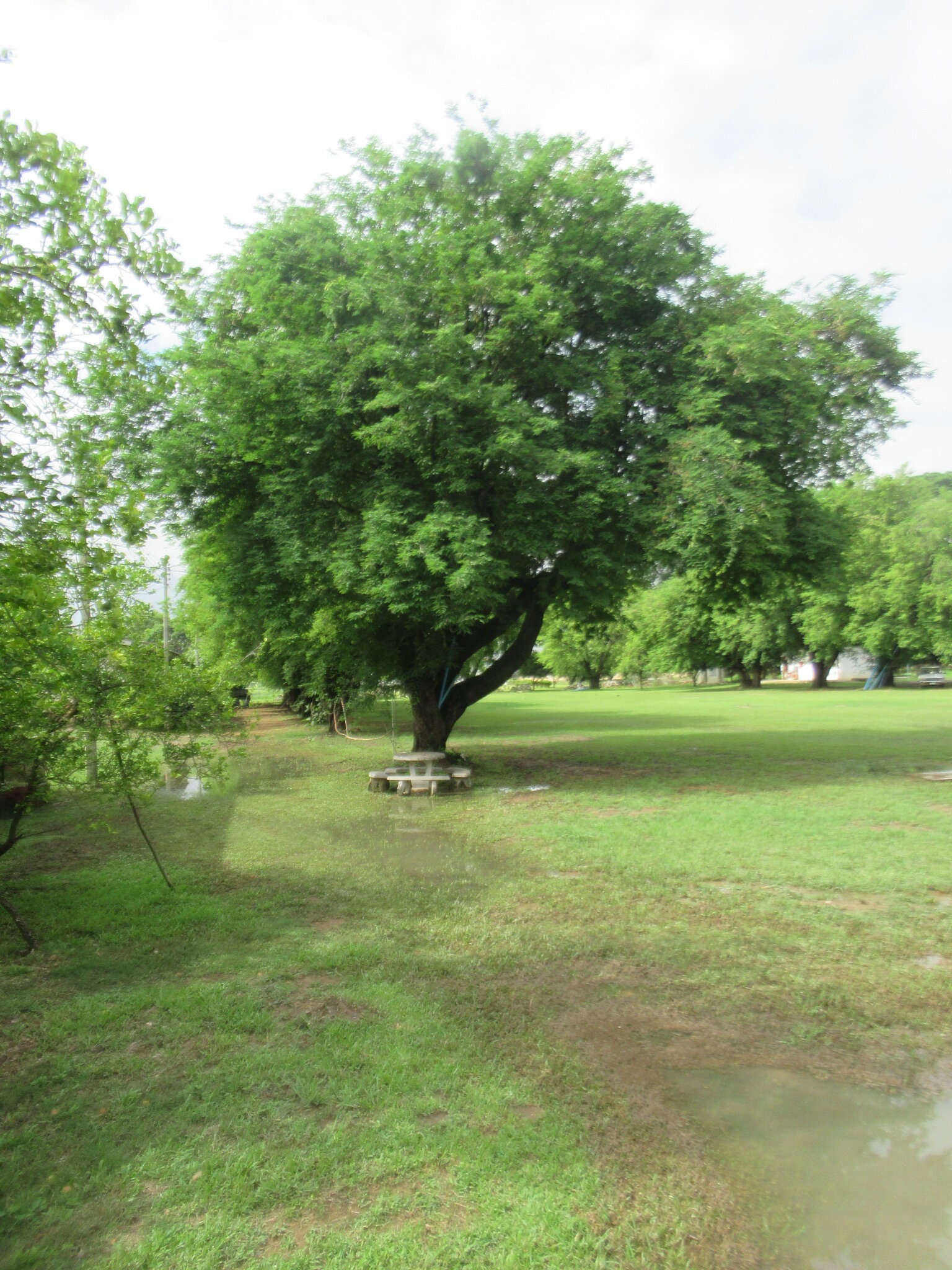 IMG_4003.JPG