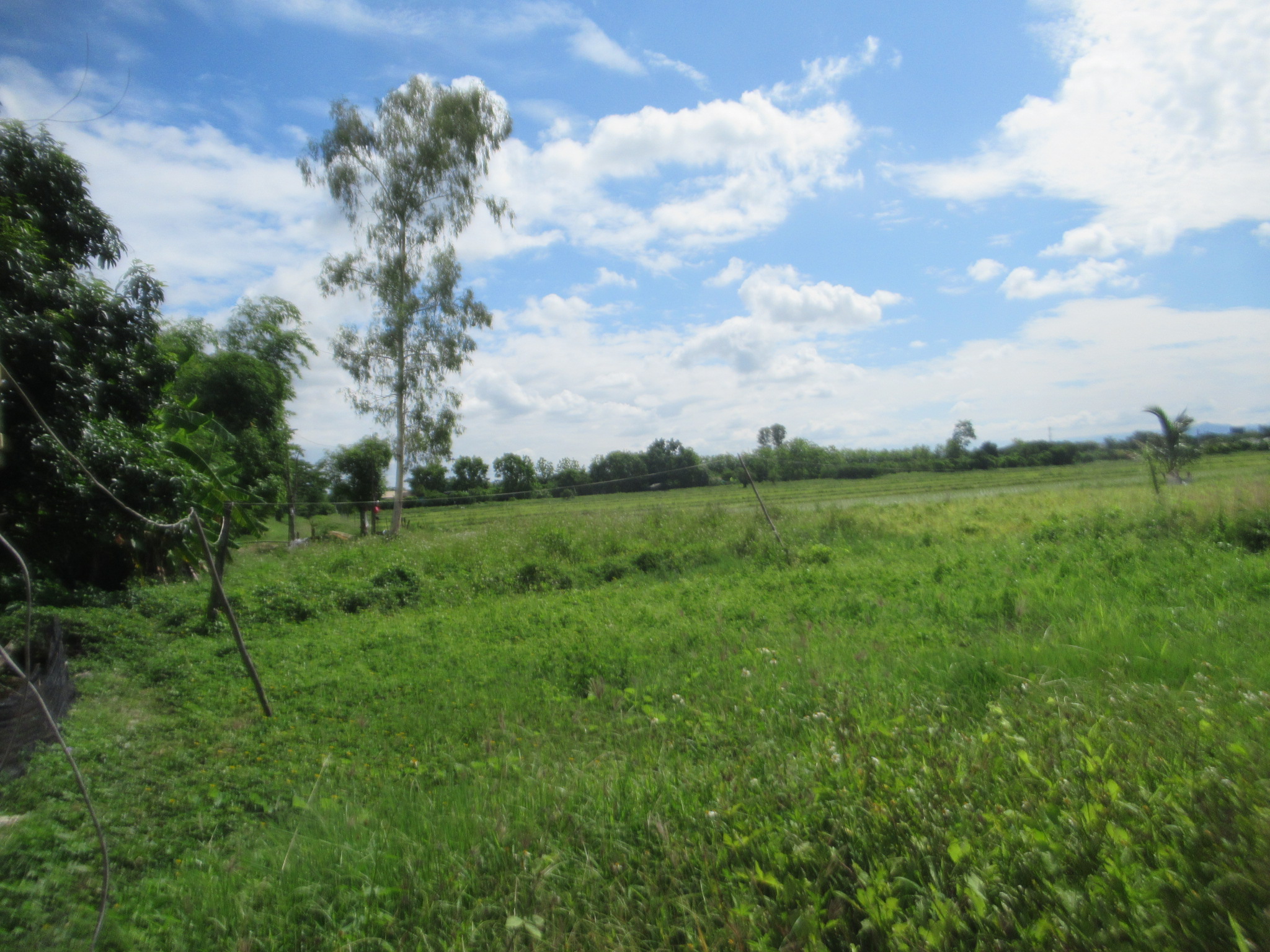 IMG_4175.JPG