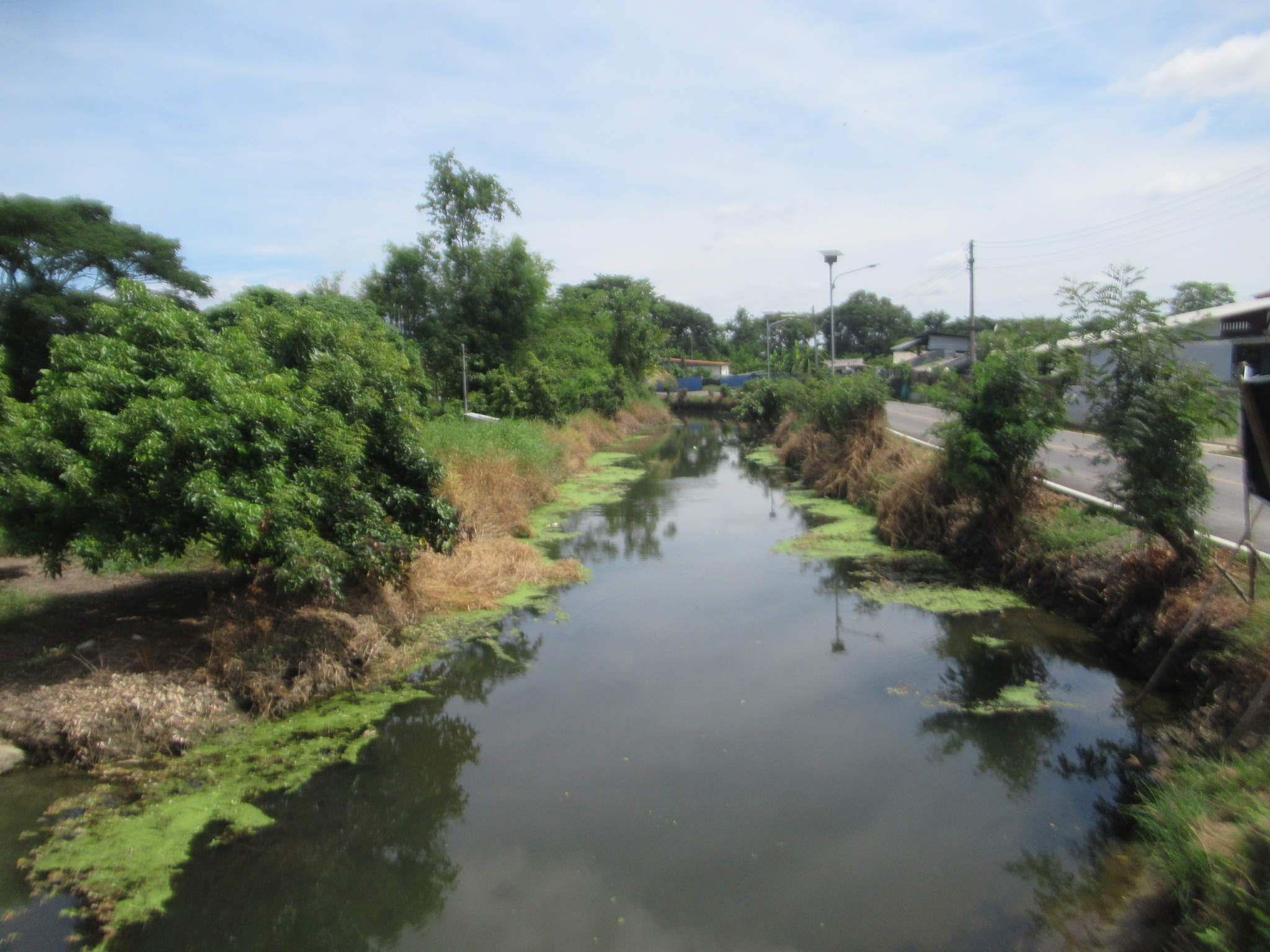 IMG_4220.JPG