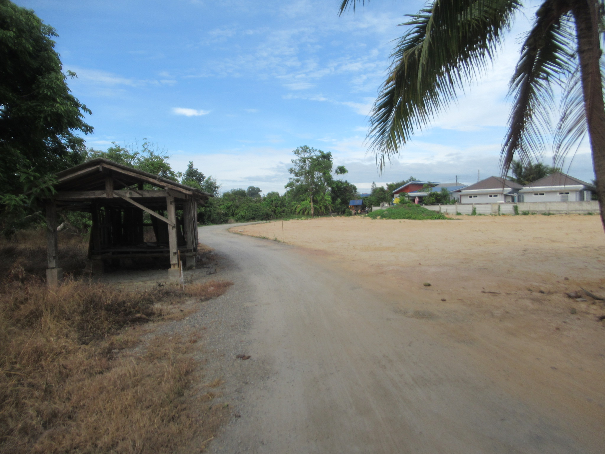 IMG_4527.JPG