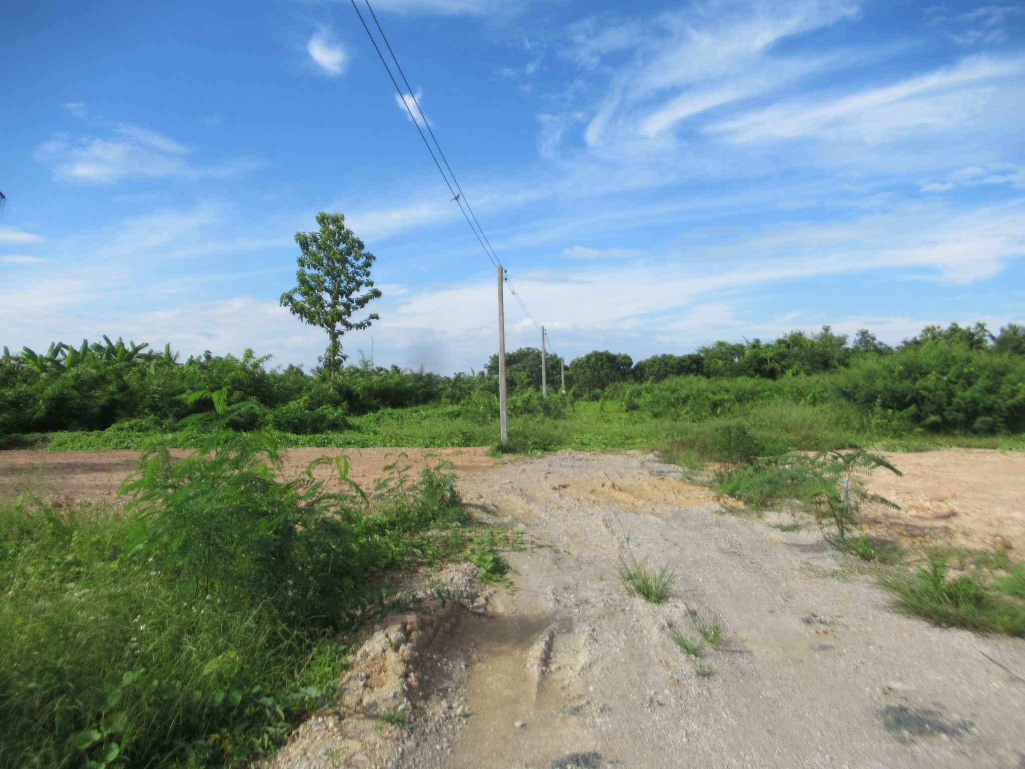 IMG_4549.JPG
