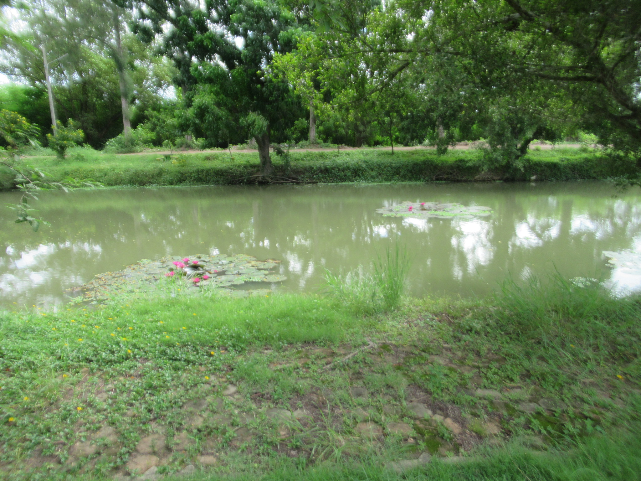IMG_4617.JPG