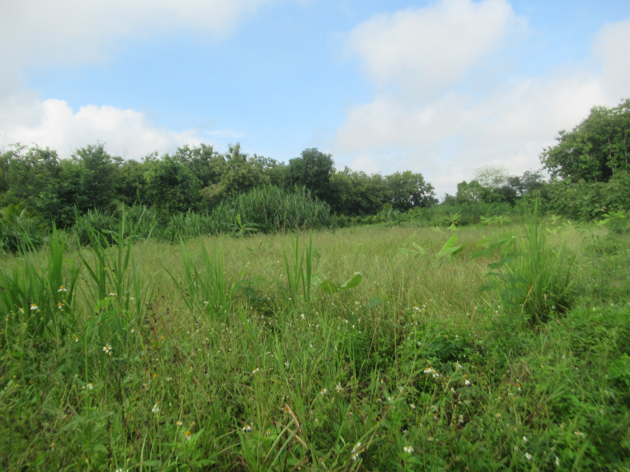 IMG_4939.JPG