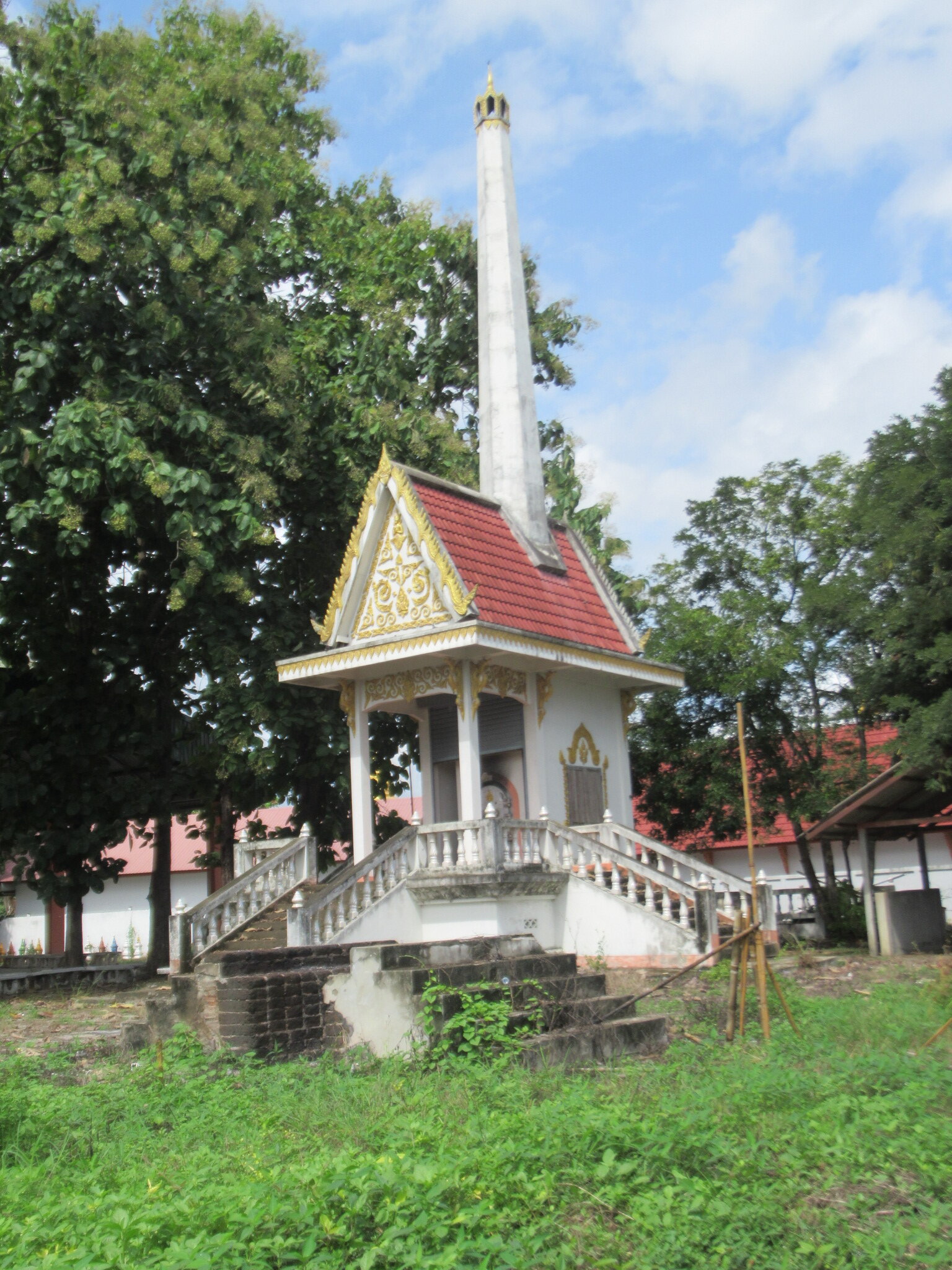 IMG_4984.JPG