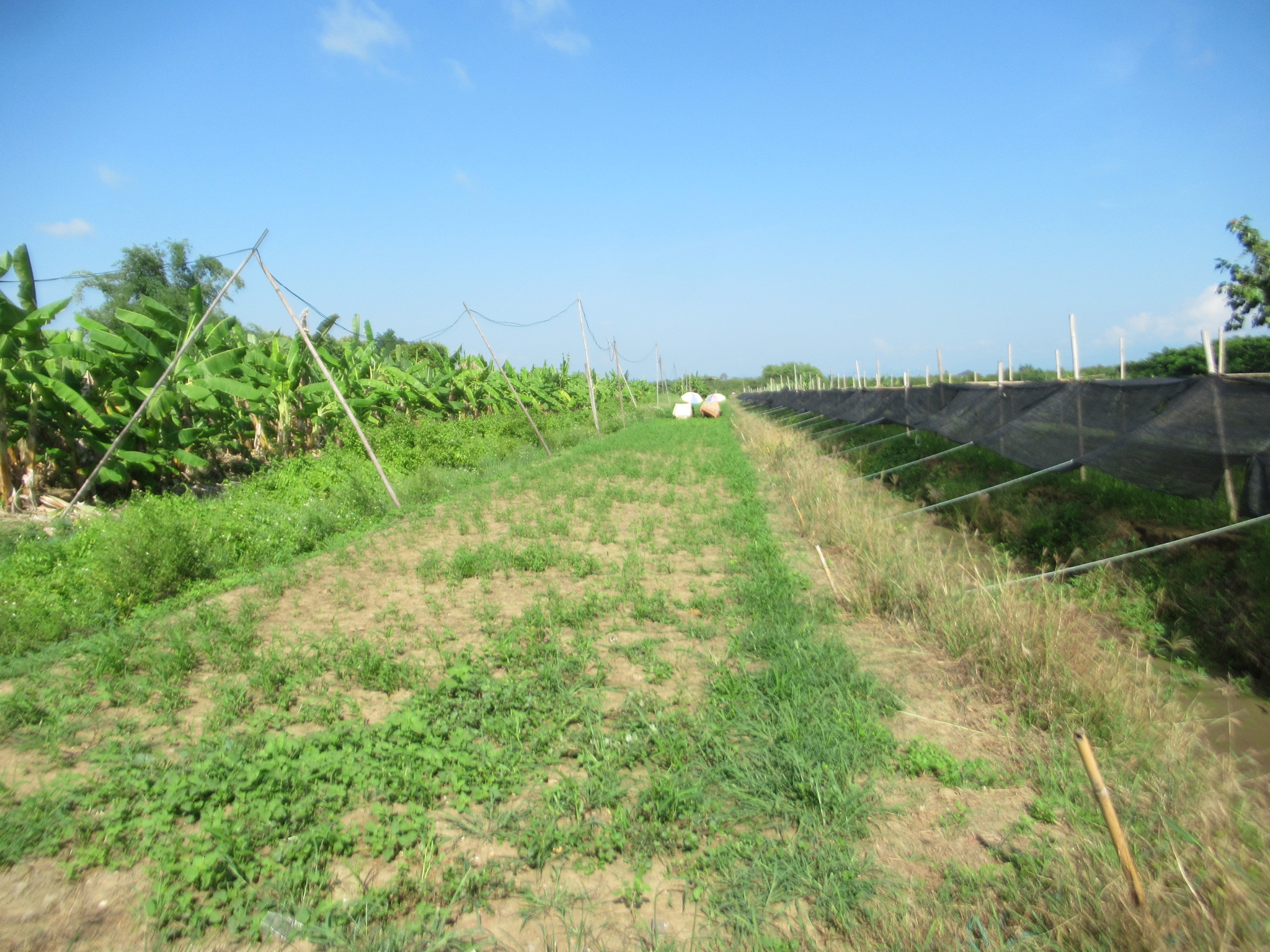 IMG_5118.JPG