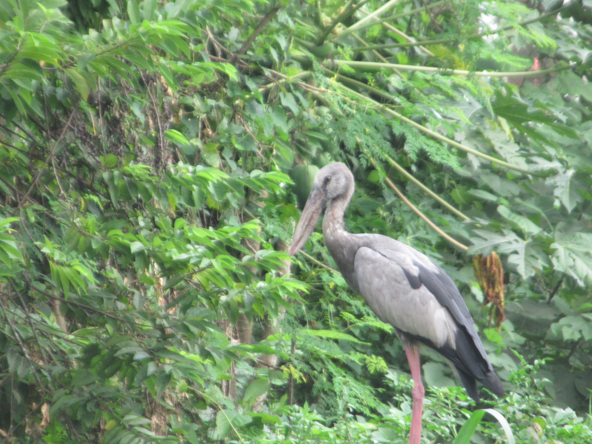 IMG_5220.JPG