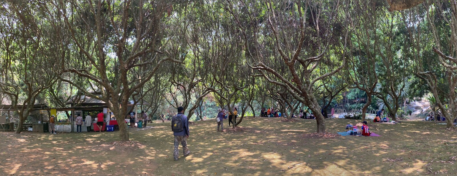 IMG_5640-PANO.jpg