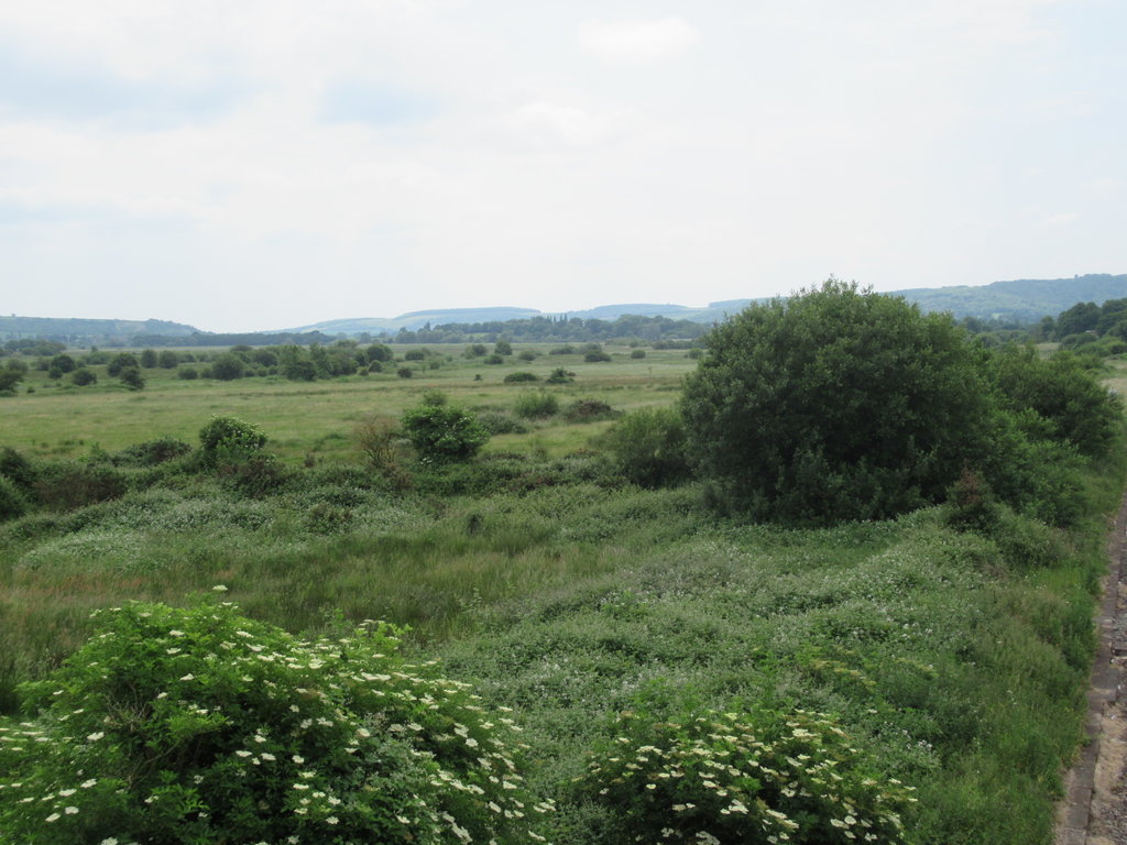 IMG_7972.JPG