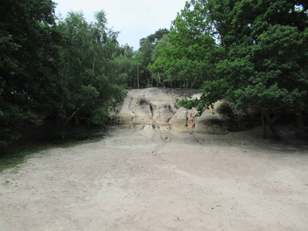 IMG_7973.JPG