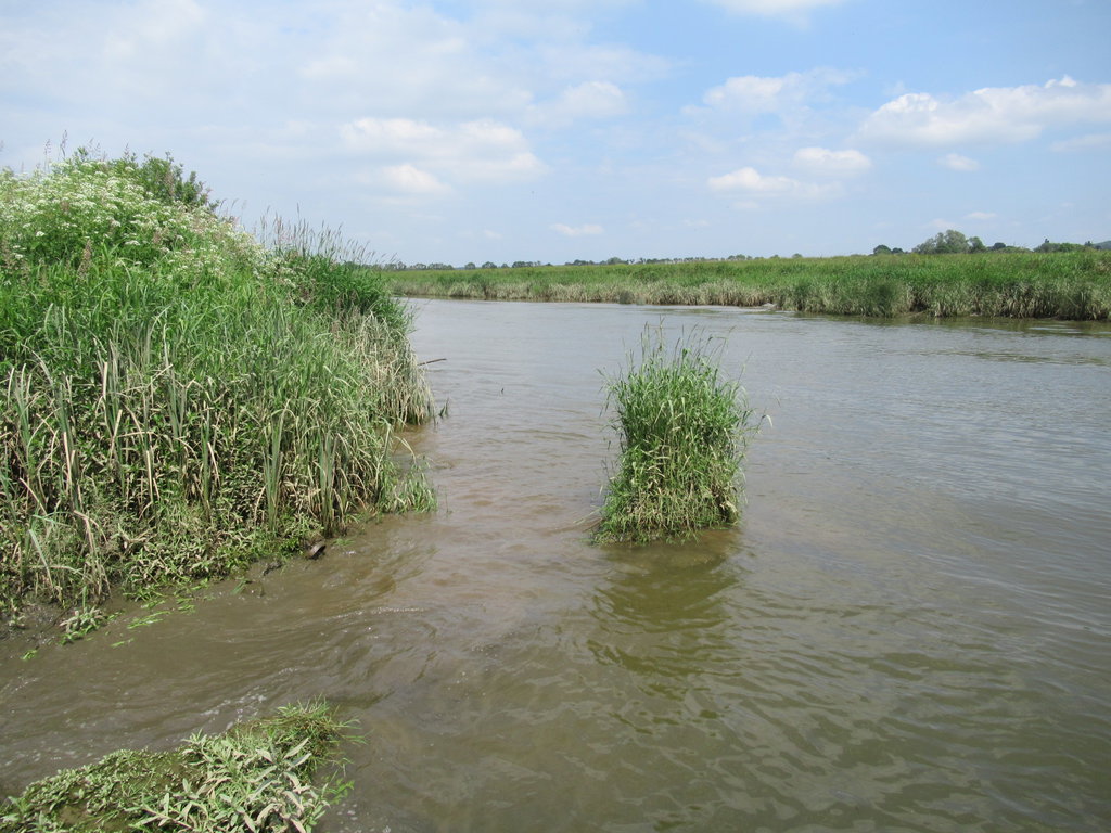 IMG_7988.JPG