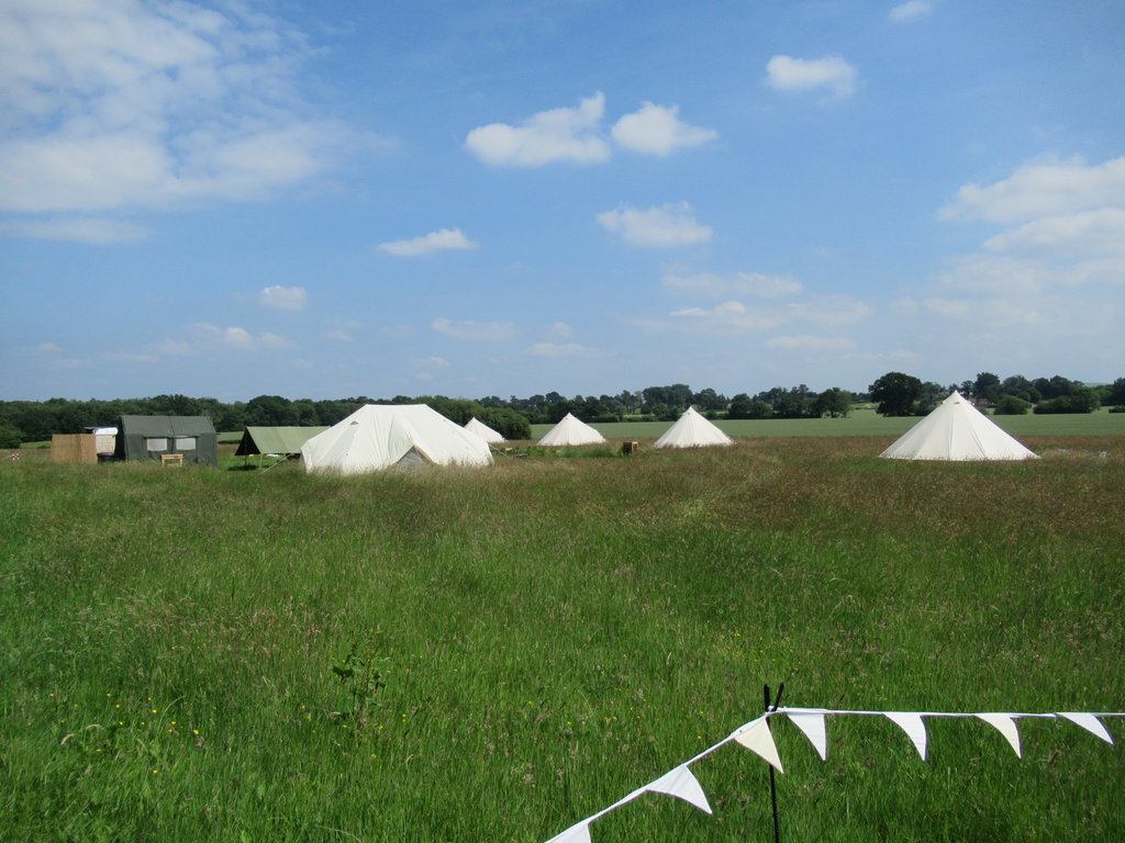 IMG_7994.JPG
