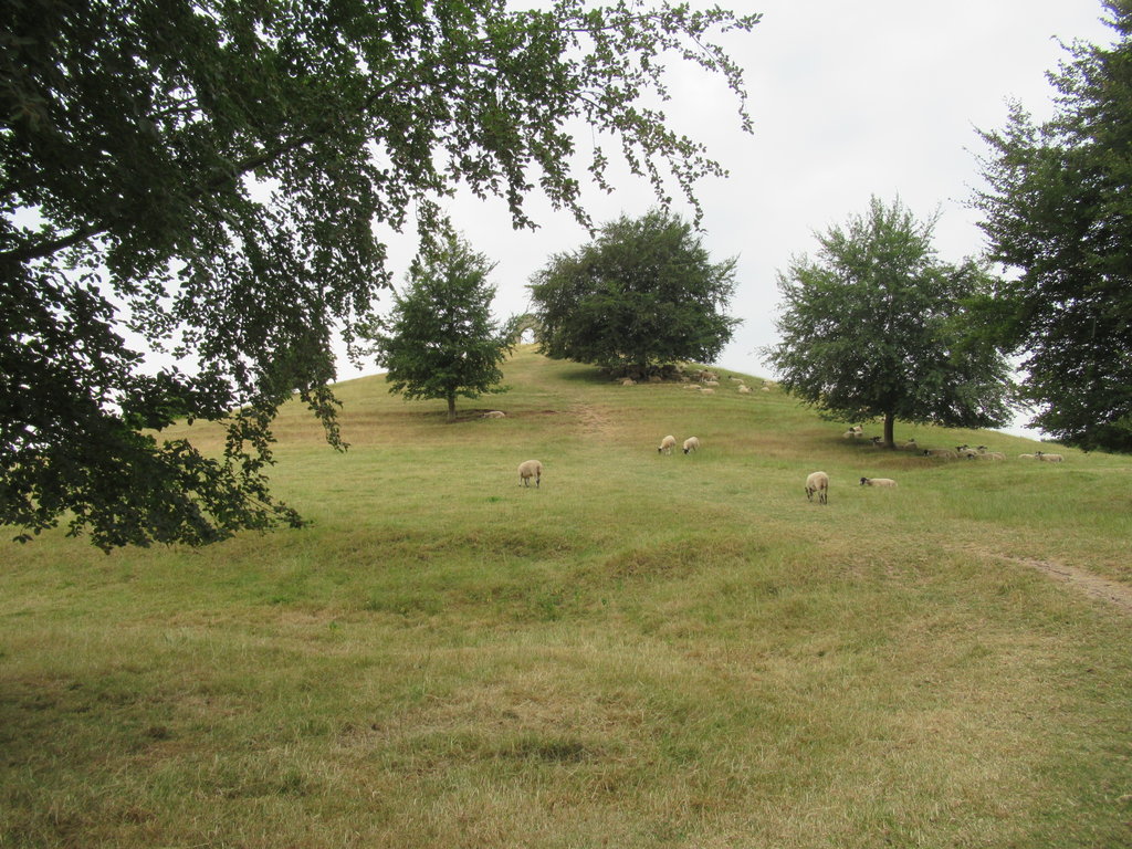 IMG_8080.JPG