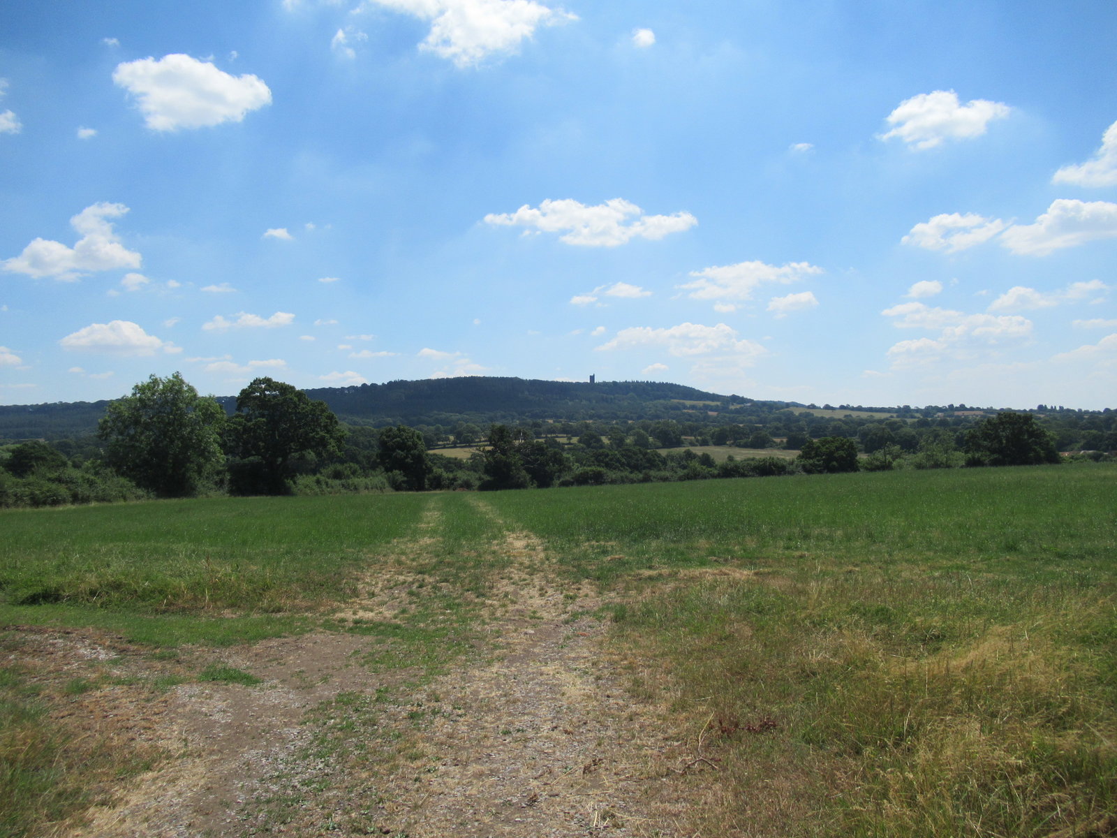 IMG_8141.JPG